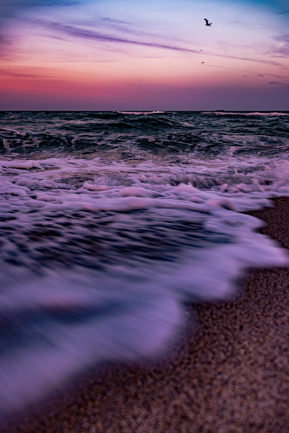 a bird flying over the ocean at sunset