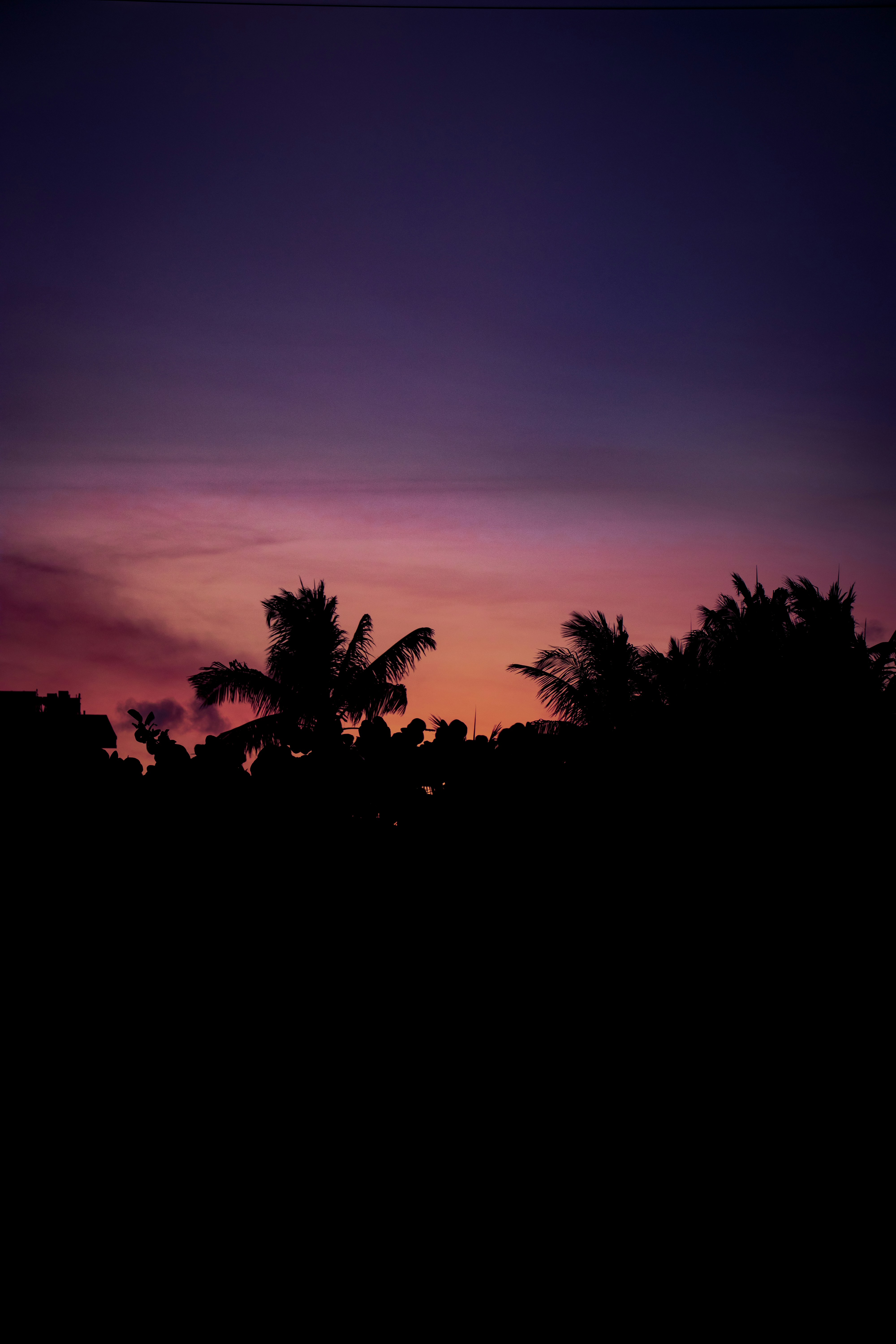 Photo by brice_cooper18