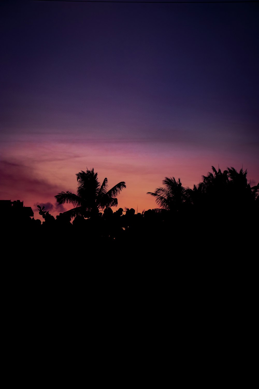 a view of a sunset with palm trees in the foreground