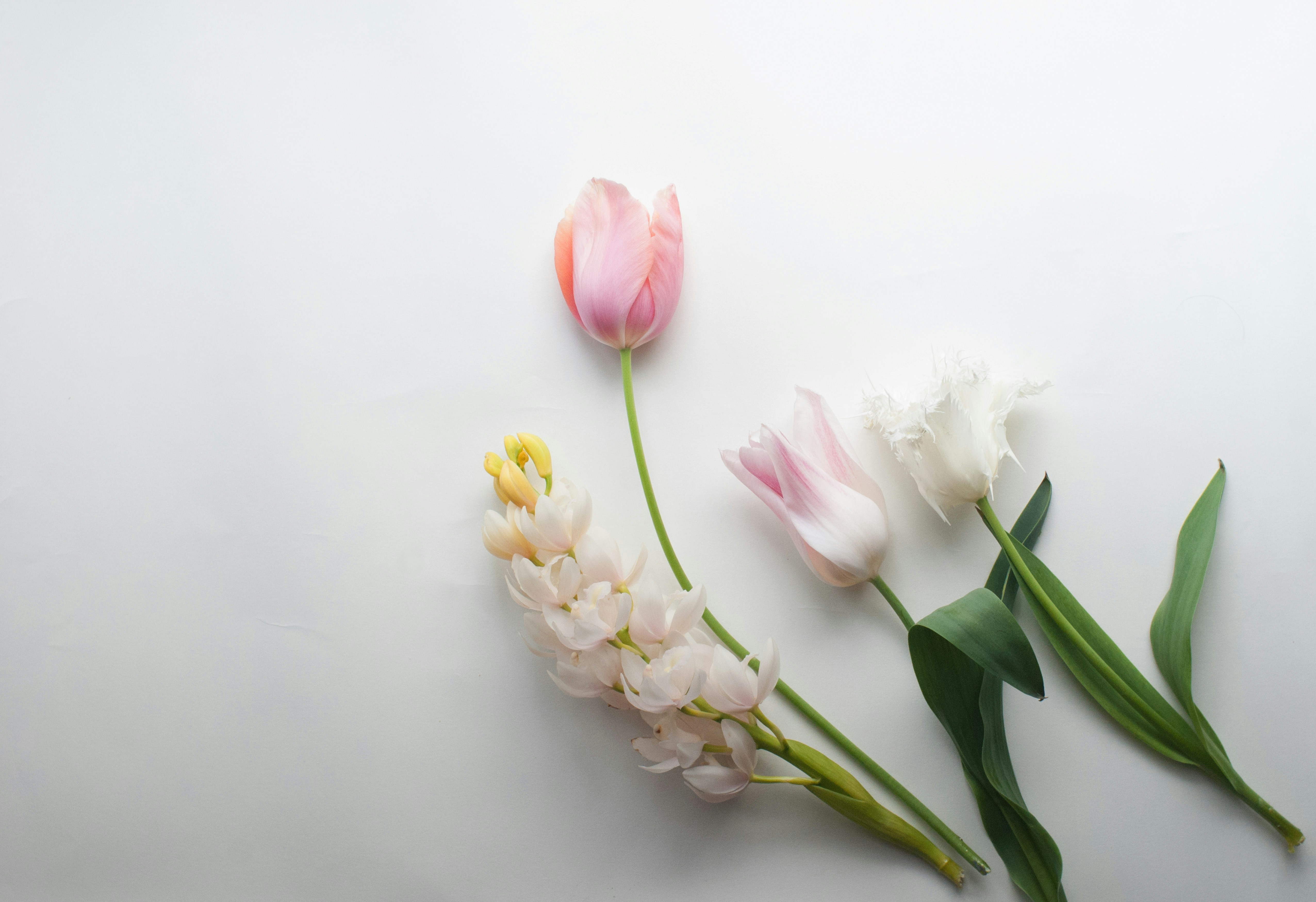 Photo by reika_mimosaday