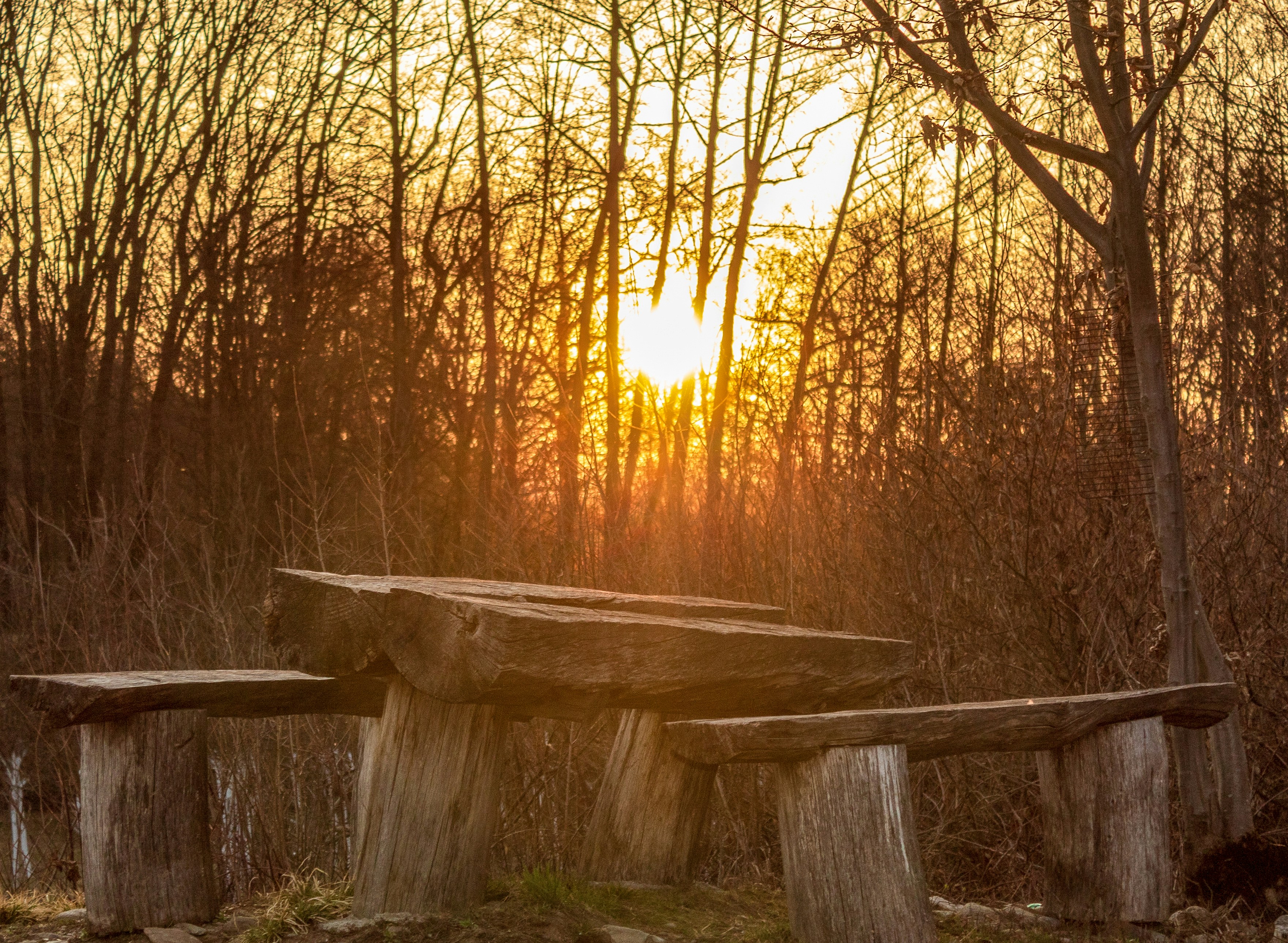 Rustic Oak Dining Table