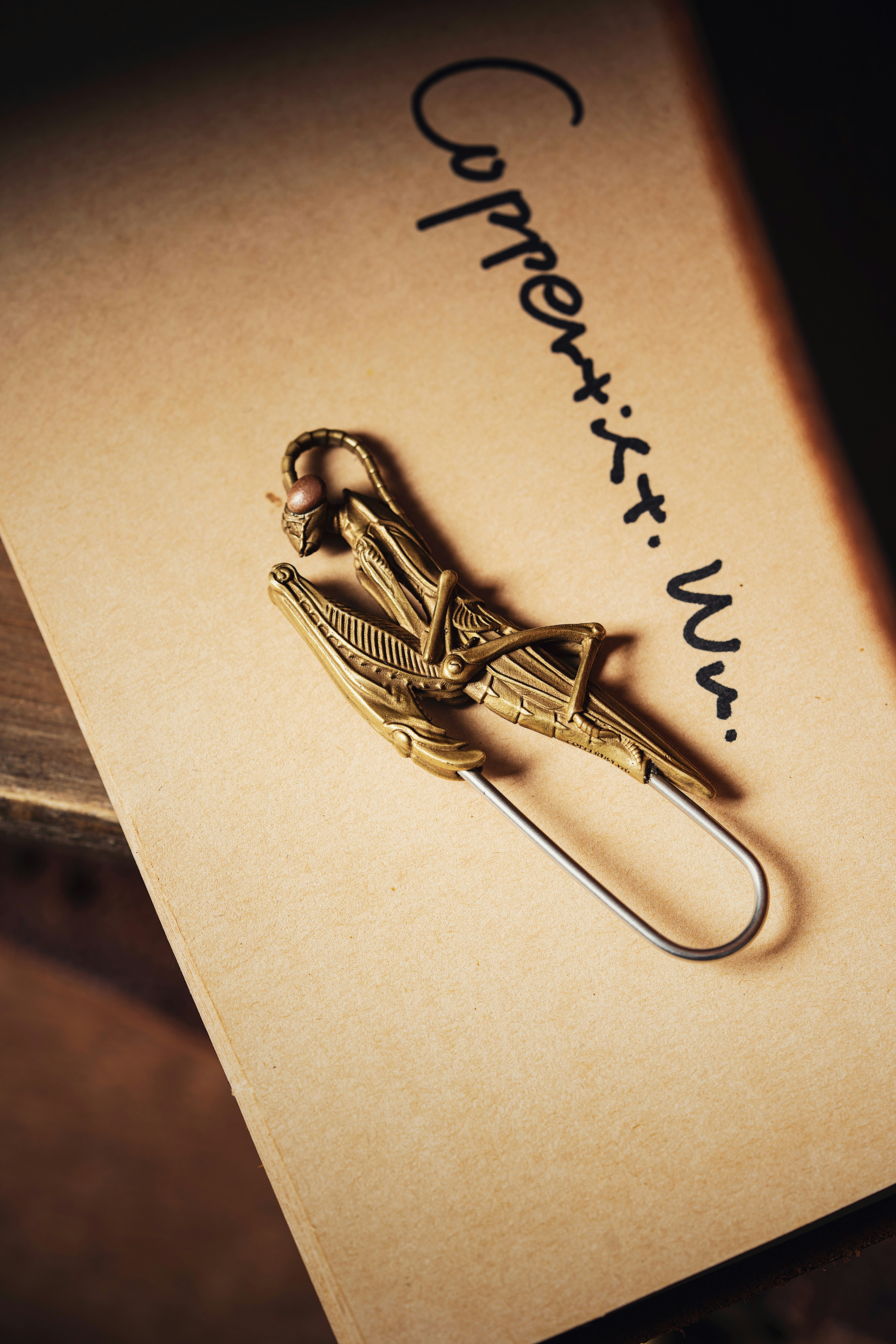 Photo by coppertistwu