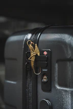 A close-up of a dark-colored suitcase featuring a gold bird-shaped ornament attached to the zipper. The suitcase has a textured surface with visible zippers and a TSA-approved lock. The lighting highlights the ornately designed bird accessory, contrasting against the suitcase's smooth, dark body.