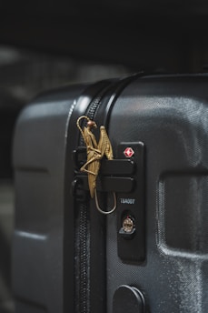 A close-up of a dark-colored suitcase featuring a gold bird-shaped ornament attached to the zipper. The suitcase has a textured surface with visible zippers and a TSA-approved lock. The lighting highlights the ornately designed bird accessory, contrasting against the suitcase's smooth, dark body.