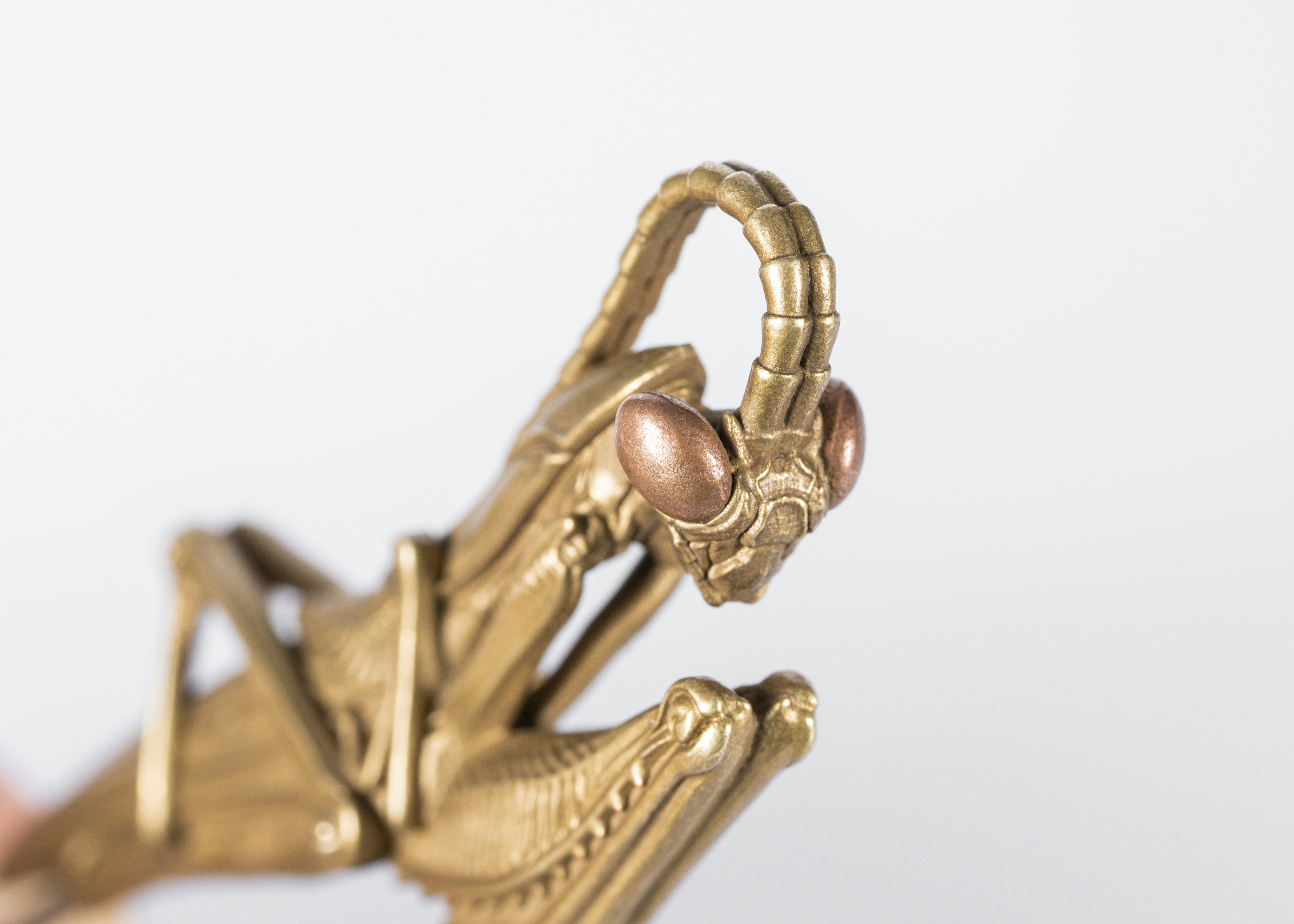 Photo by coppertistwu