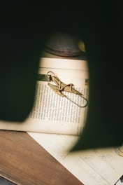 A golden clasplike object rests on an open book, partially covered by dark shadows. The text on the book is visible but not entirely readable due to the lighting. The scene is framed by a soft focus, giving it an intimate and mysterious atmosphere.