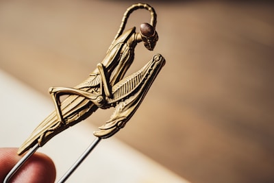 Close-up of hands holding a small bee figurine symbolizing transformation and care.