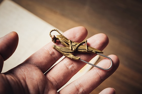 A close-up of a hand holding a large, intricately designed brass decorative pin shaped like a grasshopper. The pin has detailed engravings and is a metallic gold color. The focus is on the hand and the object, with a blurred background in warm tones.