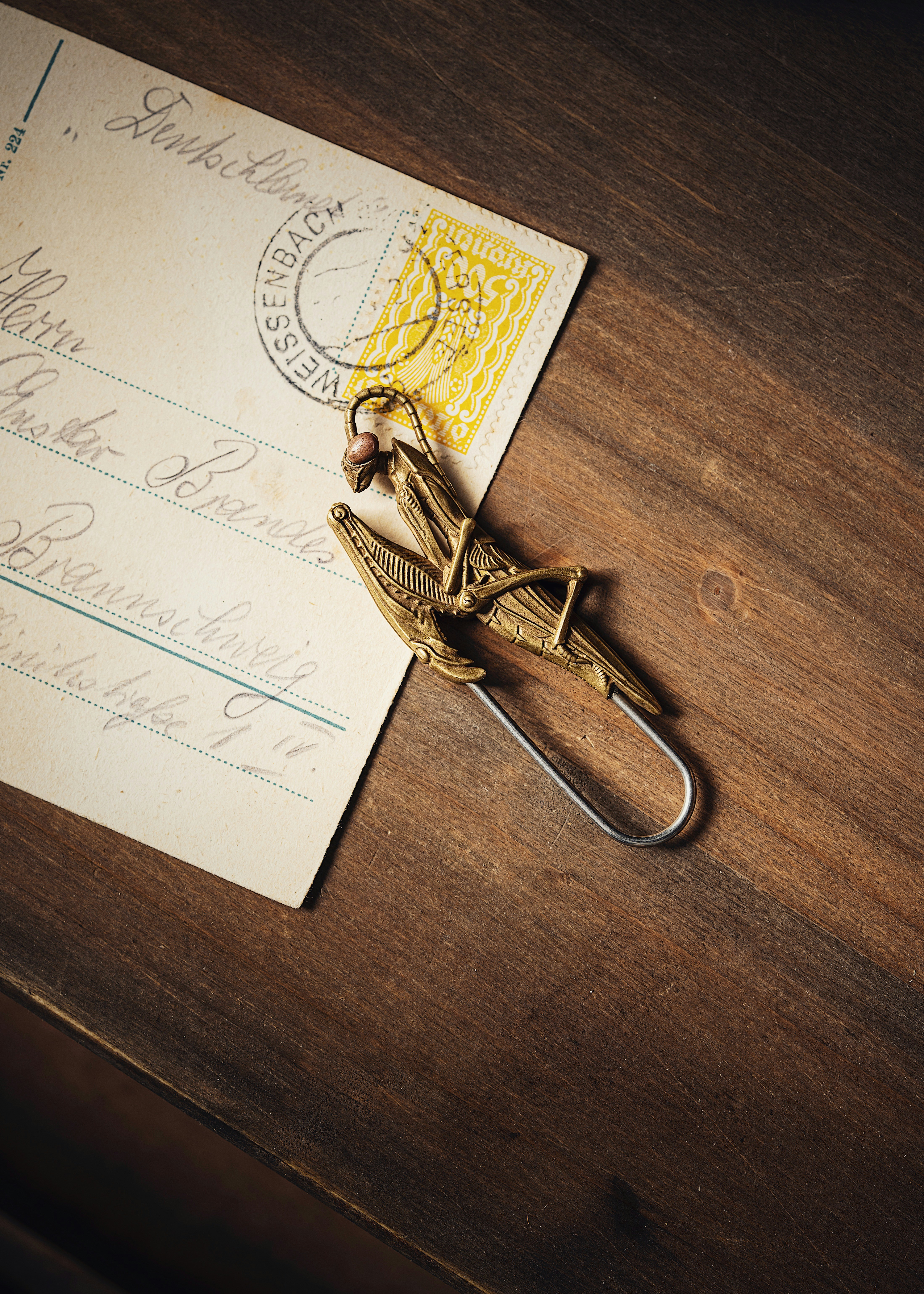 Photo by coppertistwu