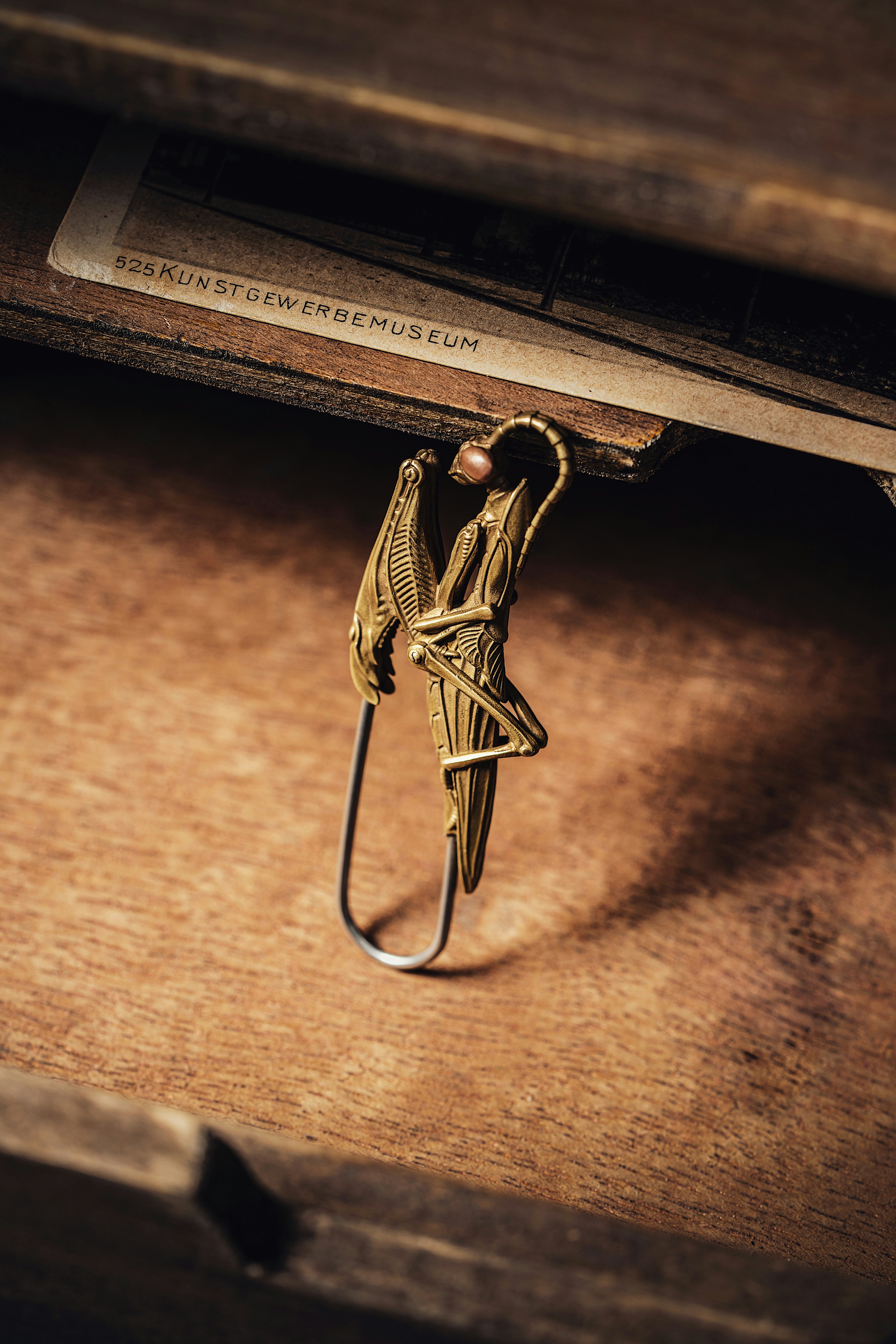 Photo by coppertistwu