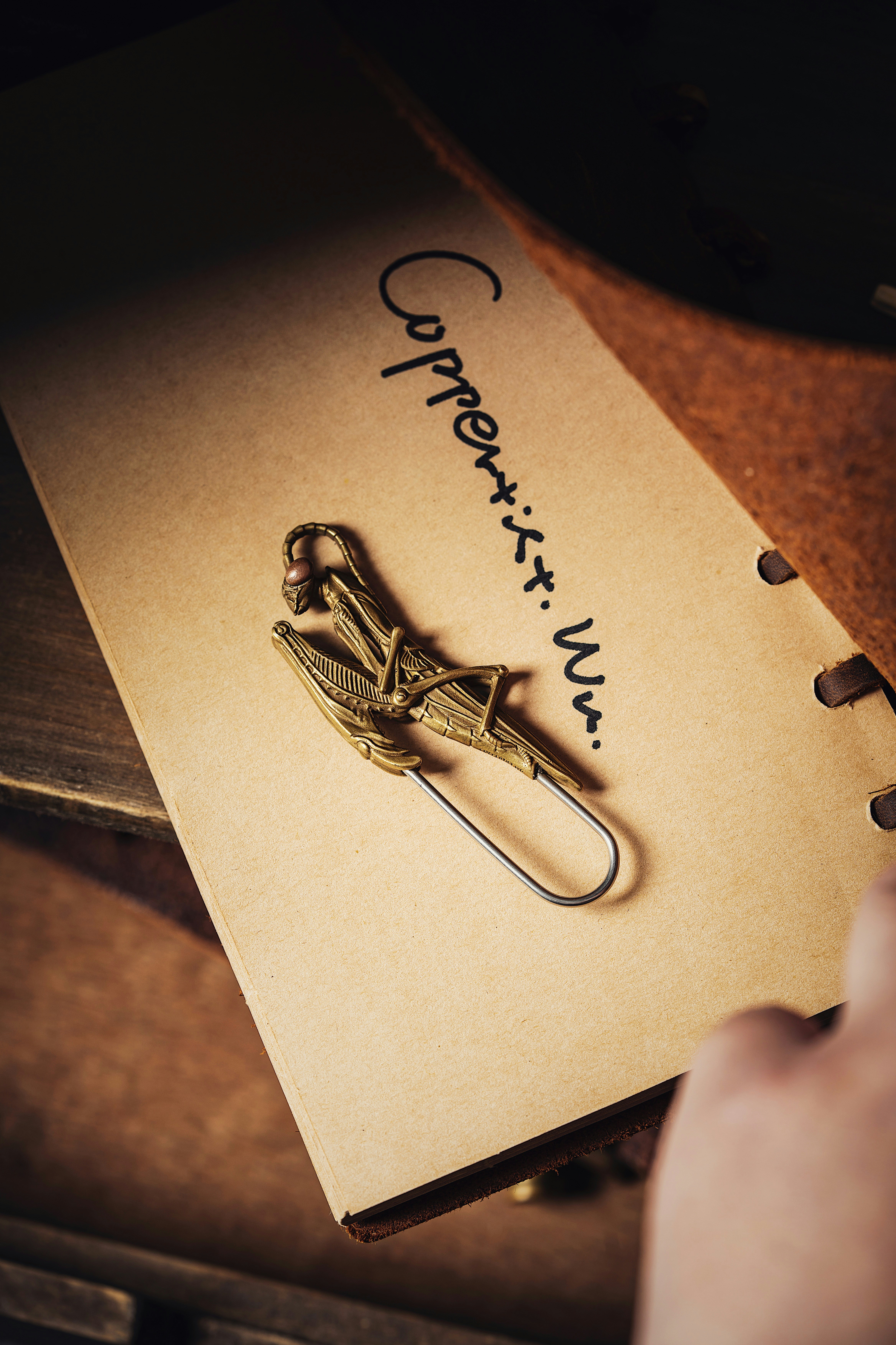 Photo by coppertistwu