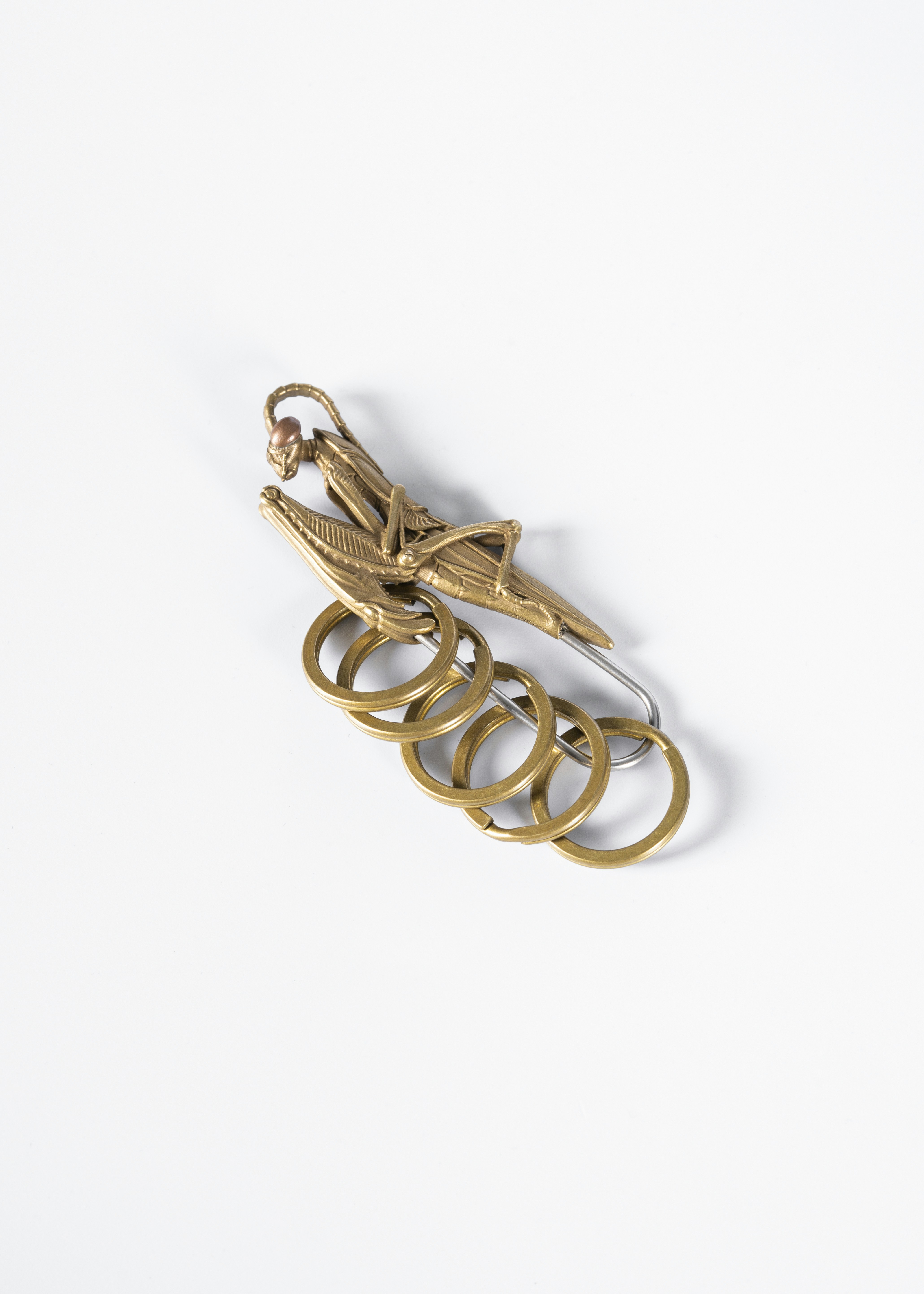 Photo by coppertistwu