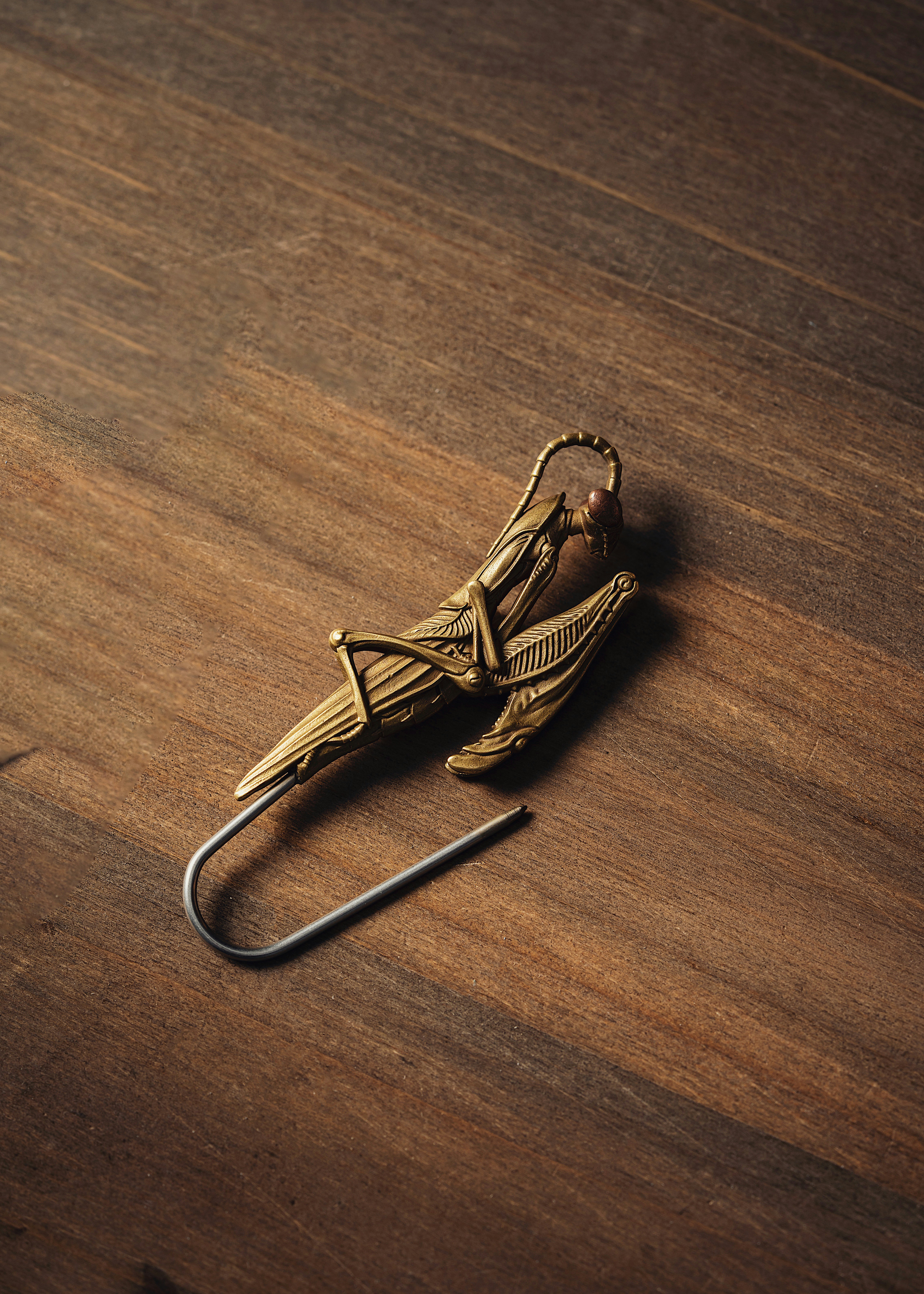 Photo by coppertistwu