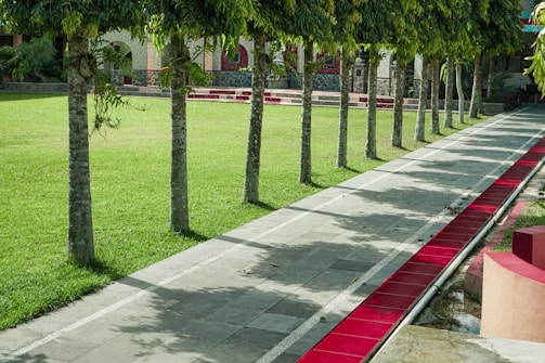 Neatly edged and mulched walkways around a corporate property.