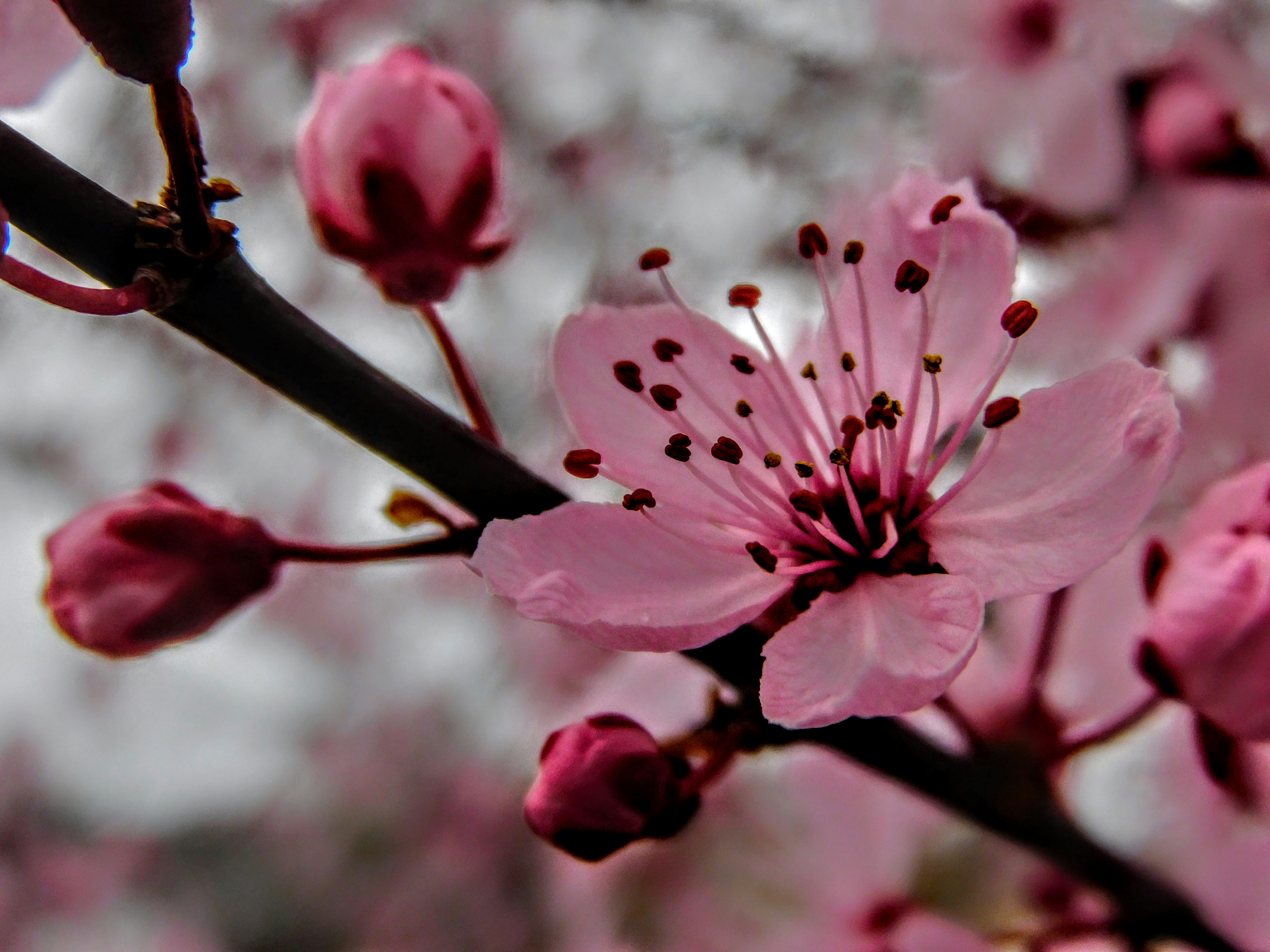 Photo by prphotography262