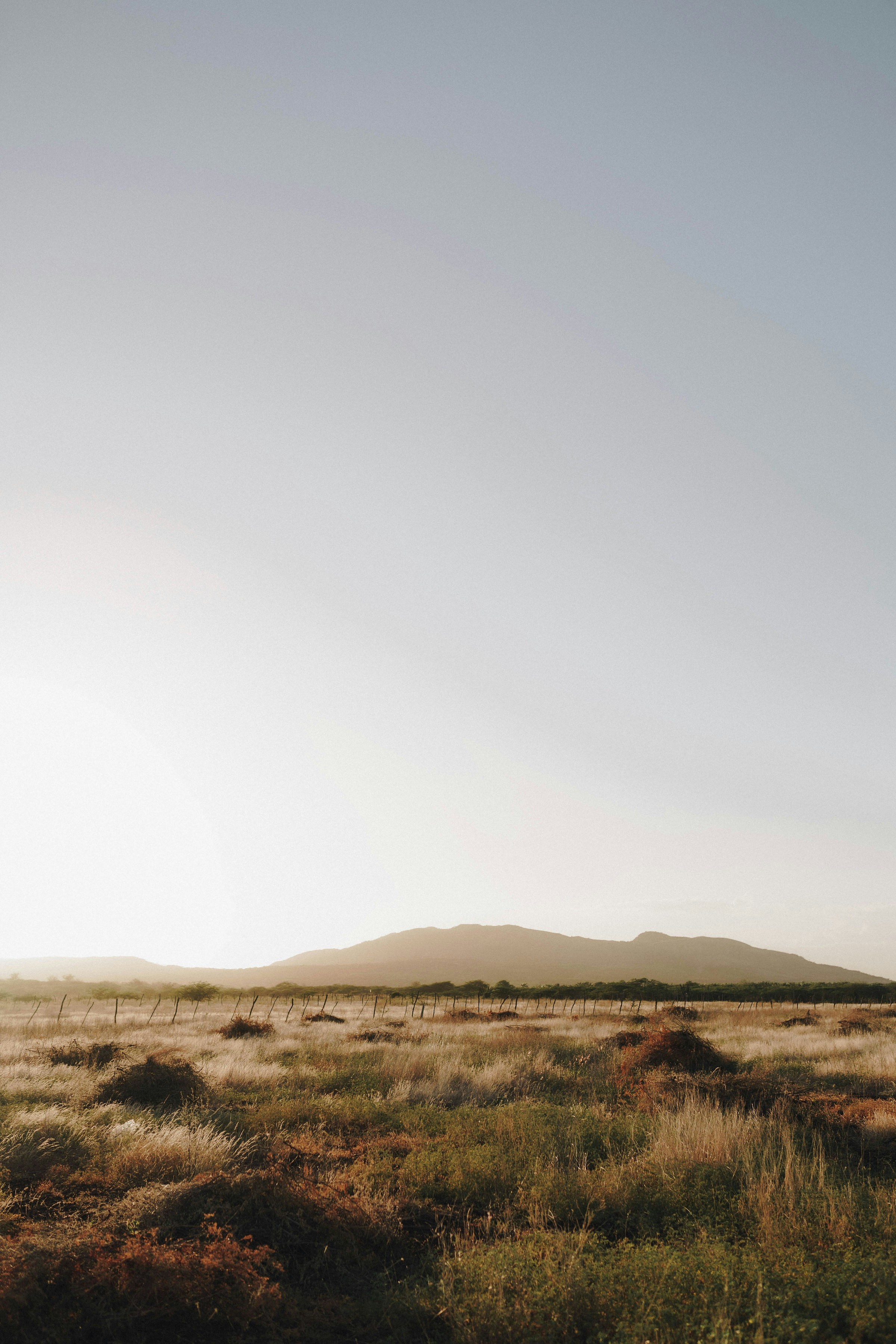 Photo by joellseverino