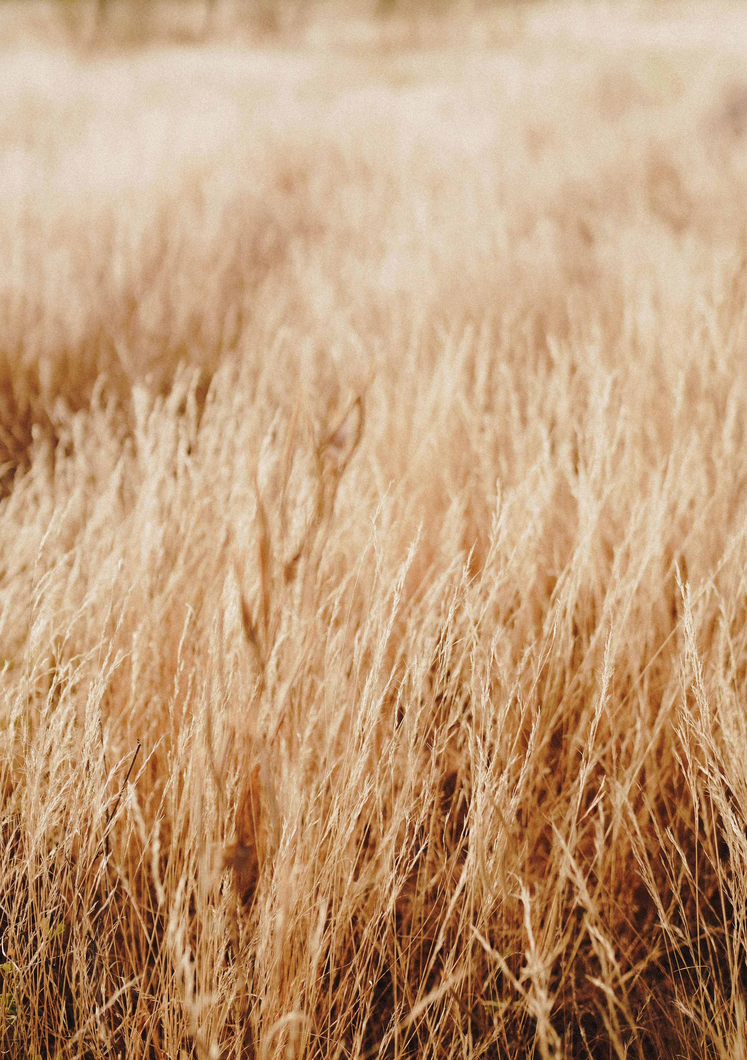 Photo by joellseverino