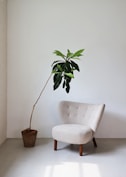 a chair and a potted plant in a room