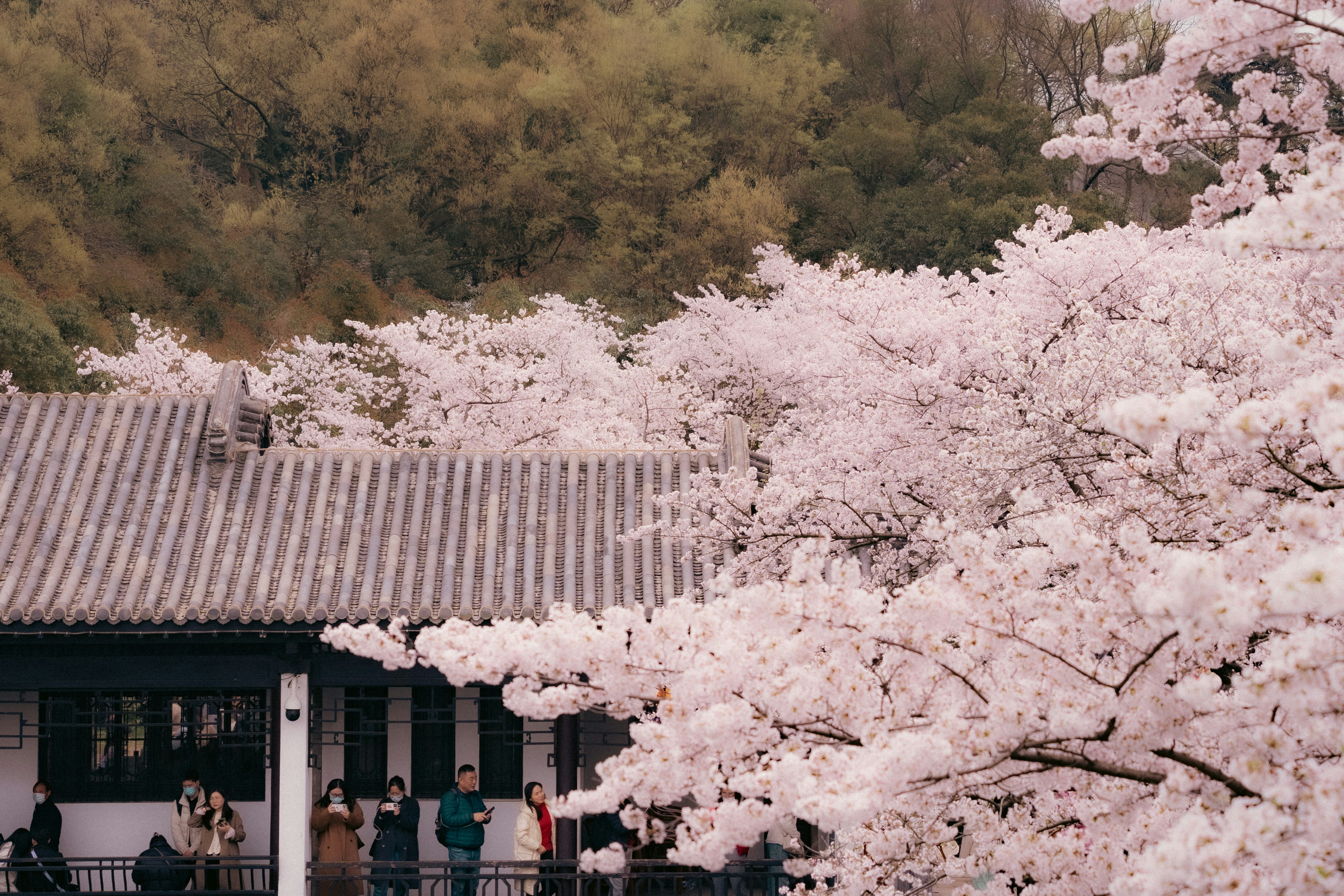 Un grupo de personas de pie frente a un árbol