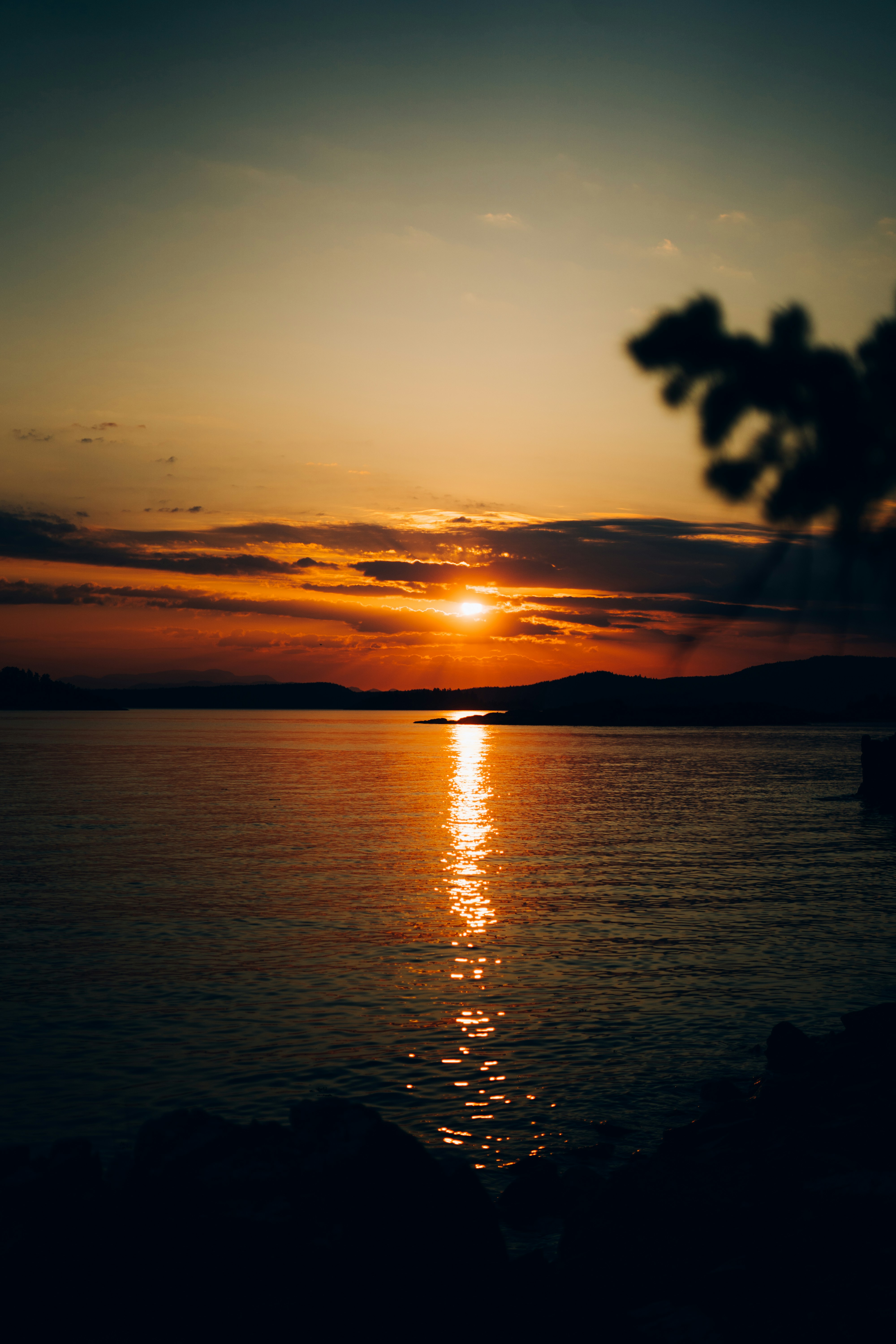 Photo by steloutside