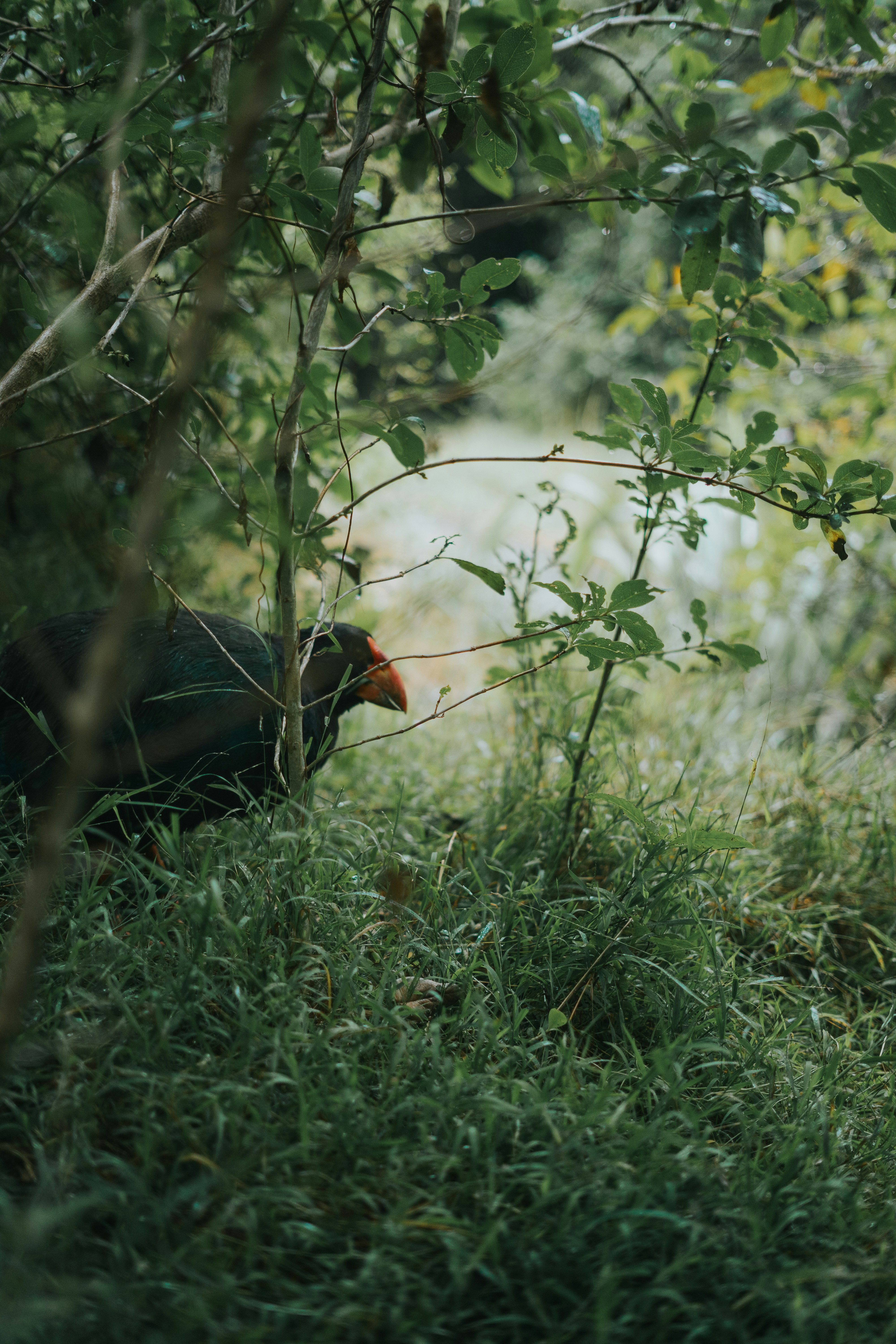 Photo by steloutside