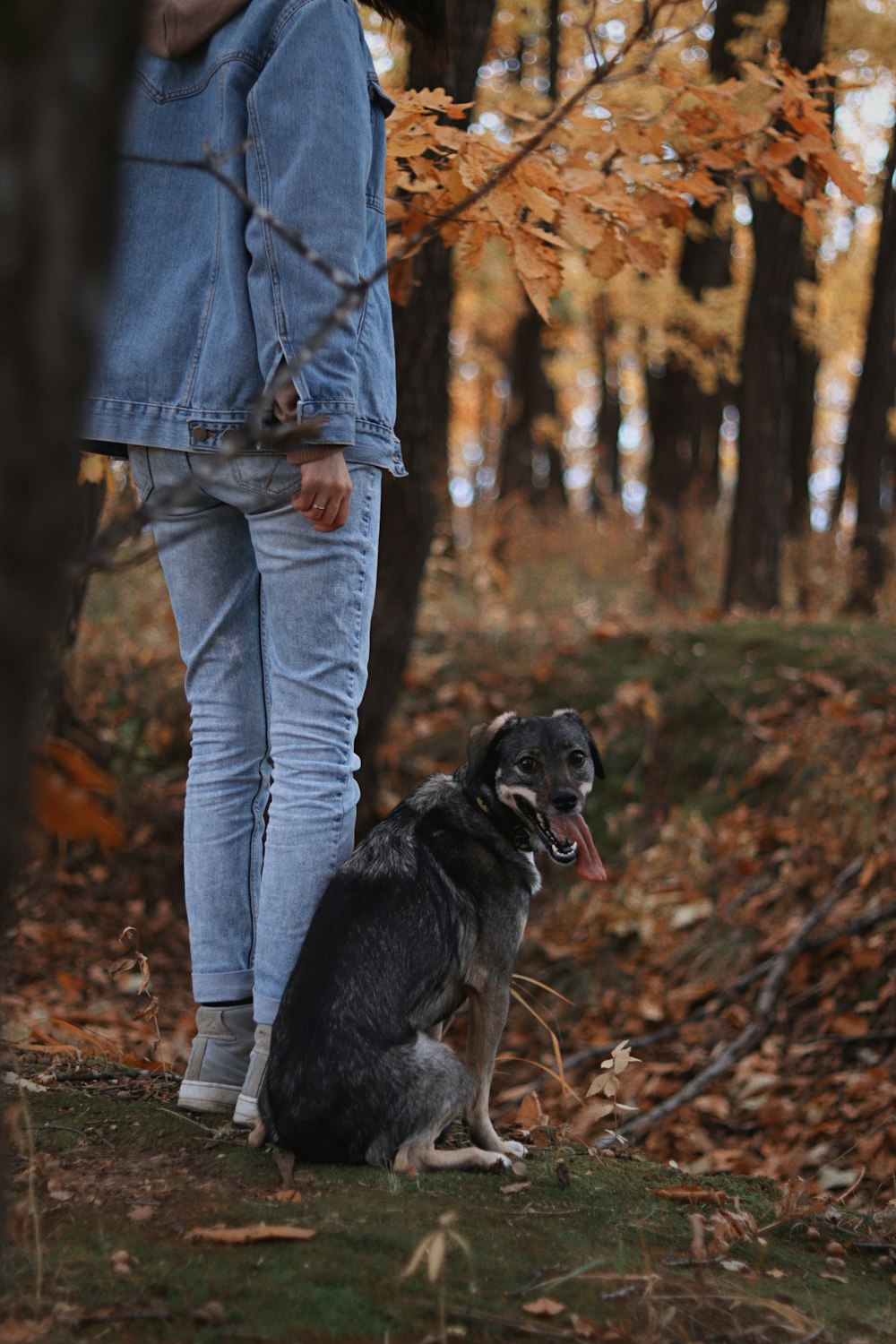 a woman standing next to a dog in a forest