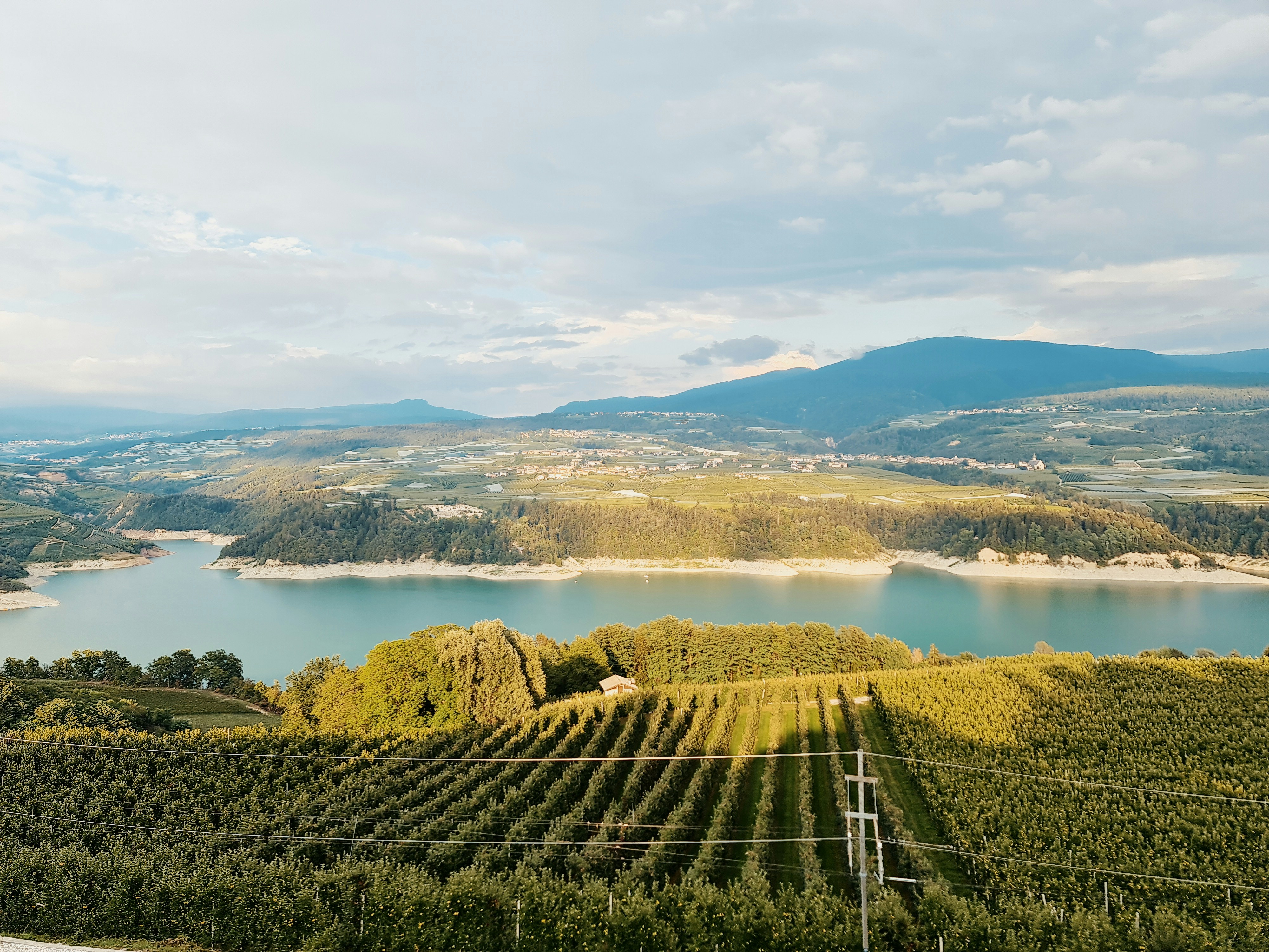 Photo by gianlucagentile