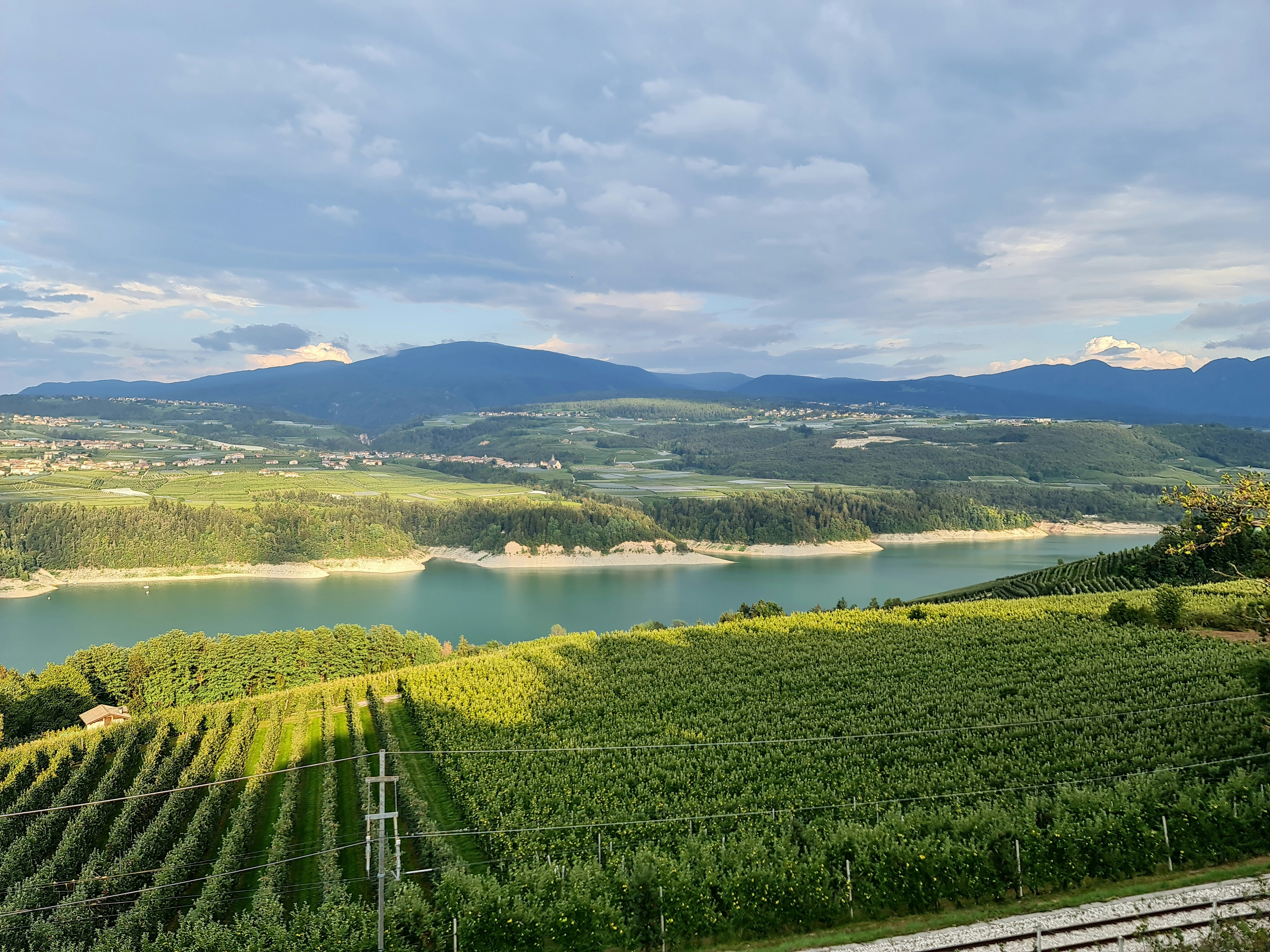 Photo by gianlucagentile