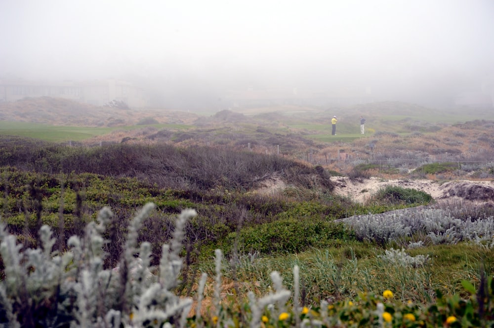 a foggy field with a person walking in the distance