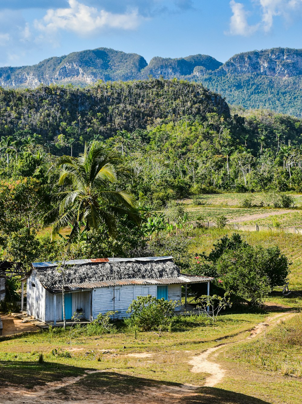 Une petite cabane au milieu d’une jungle