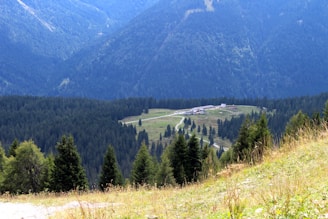 A vast landscape of densely forested hills and mountains with a meadow in the center, featuring a few scattered structures. Tall coniferous trees dominate the foreground, leading down to a clearing where the buildings sit surrounded by greenery.