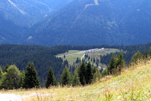 A vast landscape of densely forested hills and mountains with a meadow in the center, featuring a few scattered structures. Tall coniferous trees dominate the foreground, leading down to a clearing where the buildings sit surrounded by greenery.