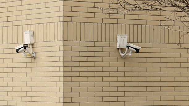 Two surveillance cameras are mounted on a corner of a beige brick building. The cameras are positioned at a right angle to each other and are installed on a cream-colored brick wall. A barren tree branch is visible on the right side.