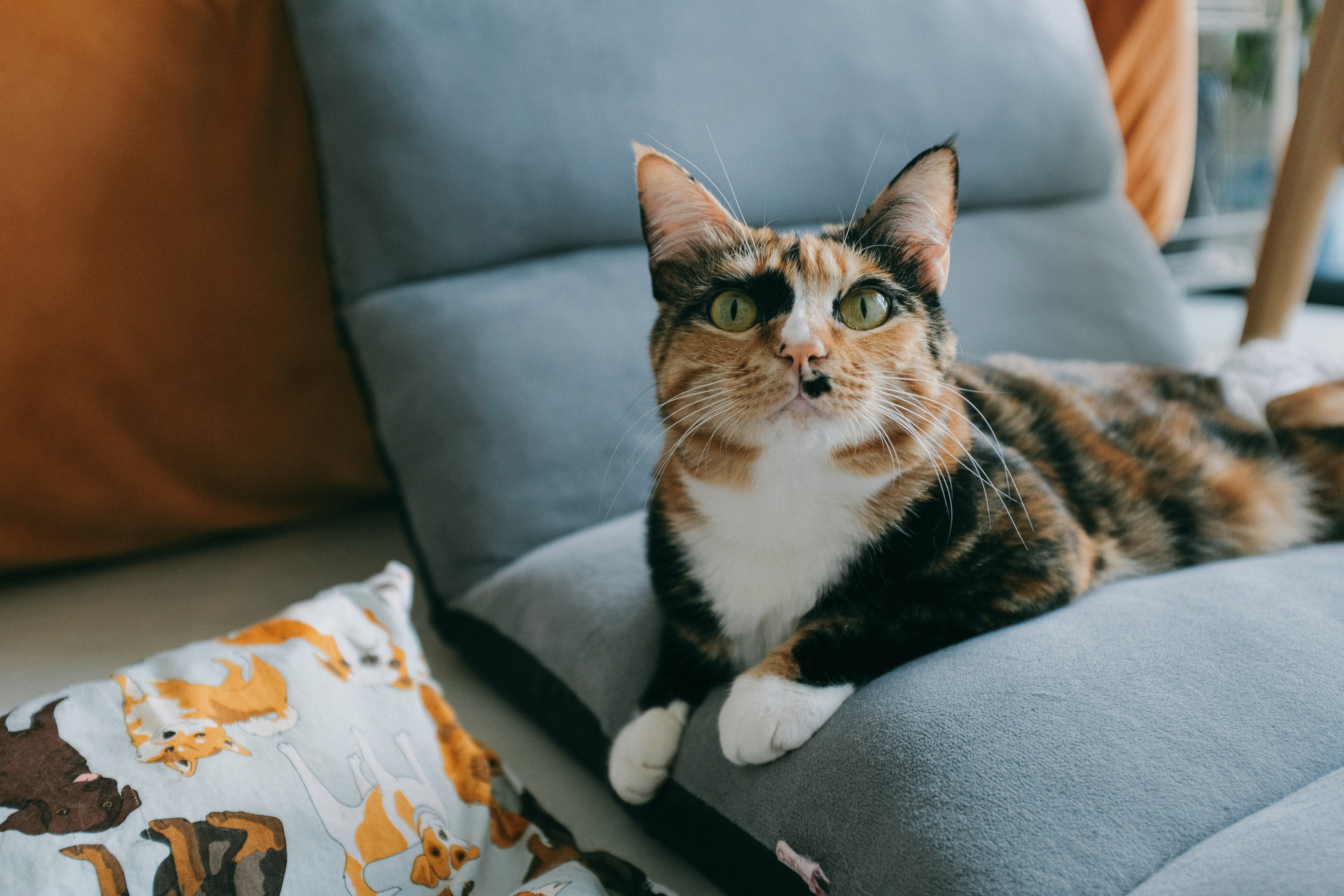 Photo by huyphan2602