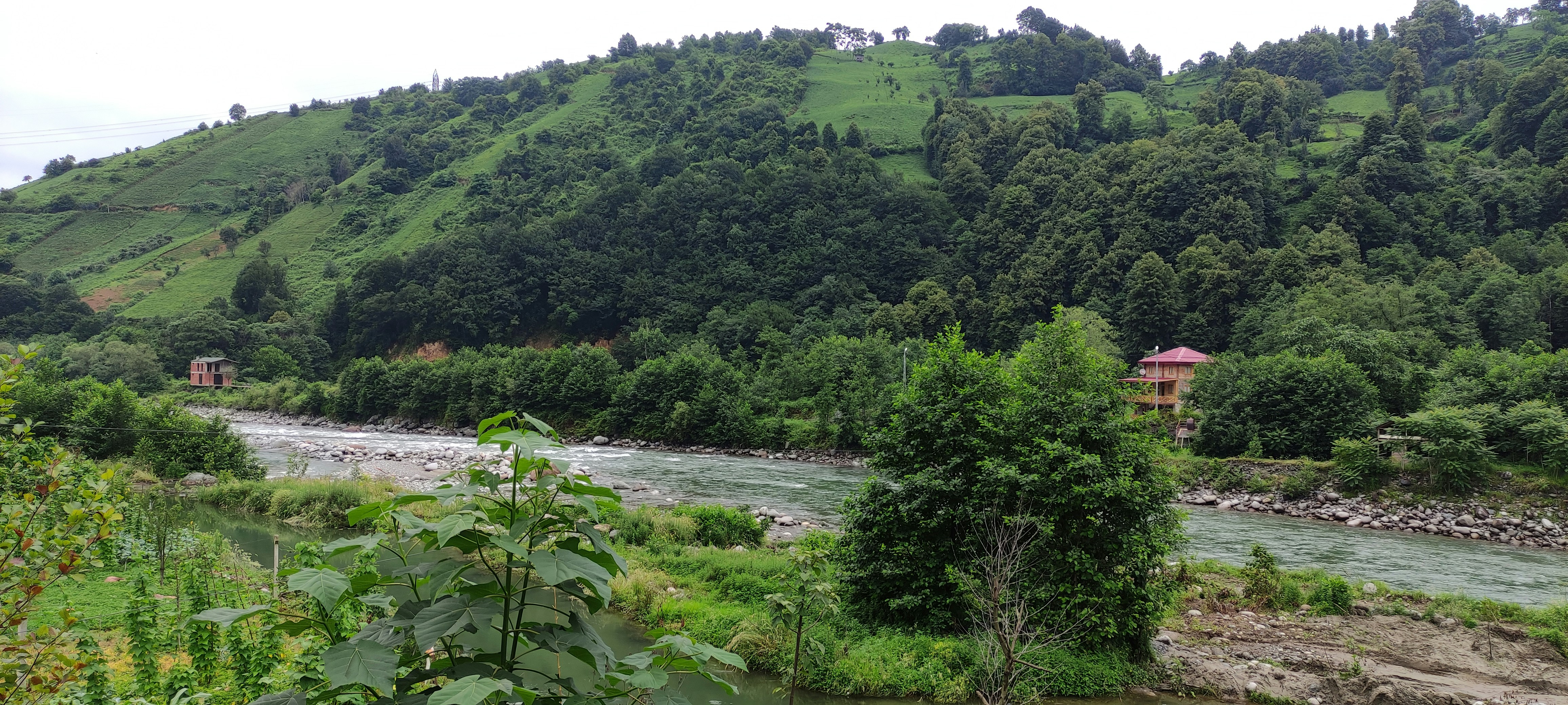 Photo by tinygardens