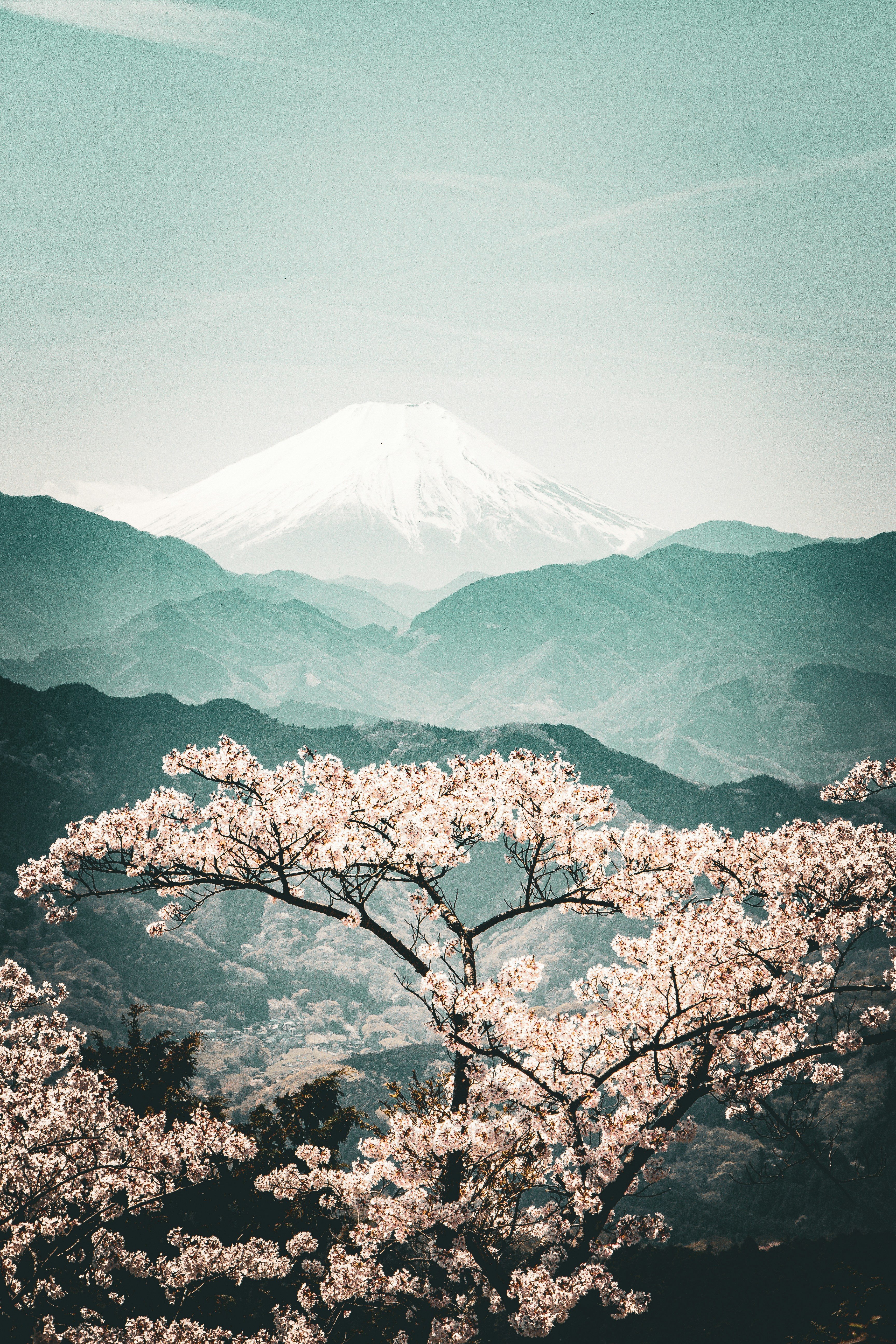Photo by enkuu