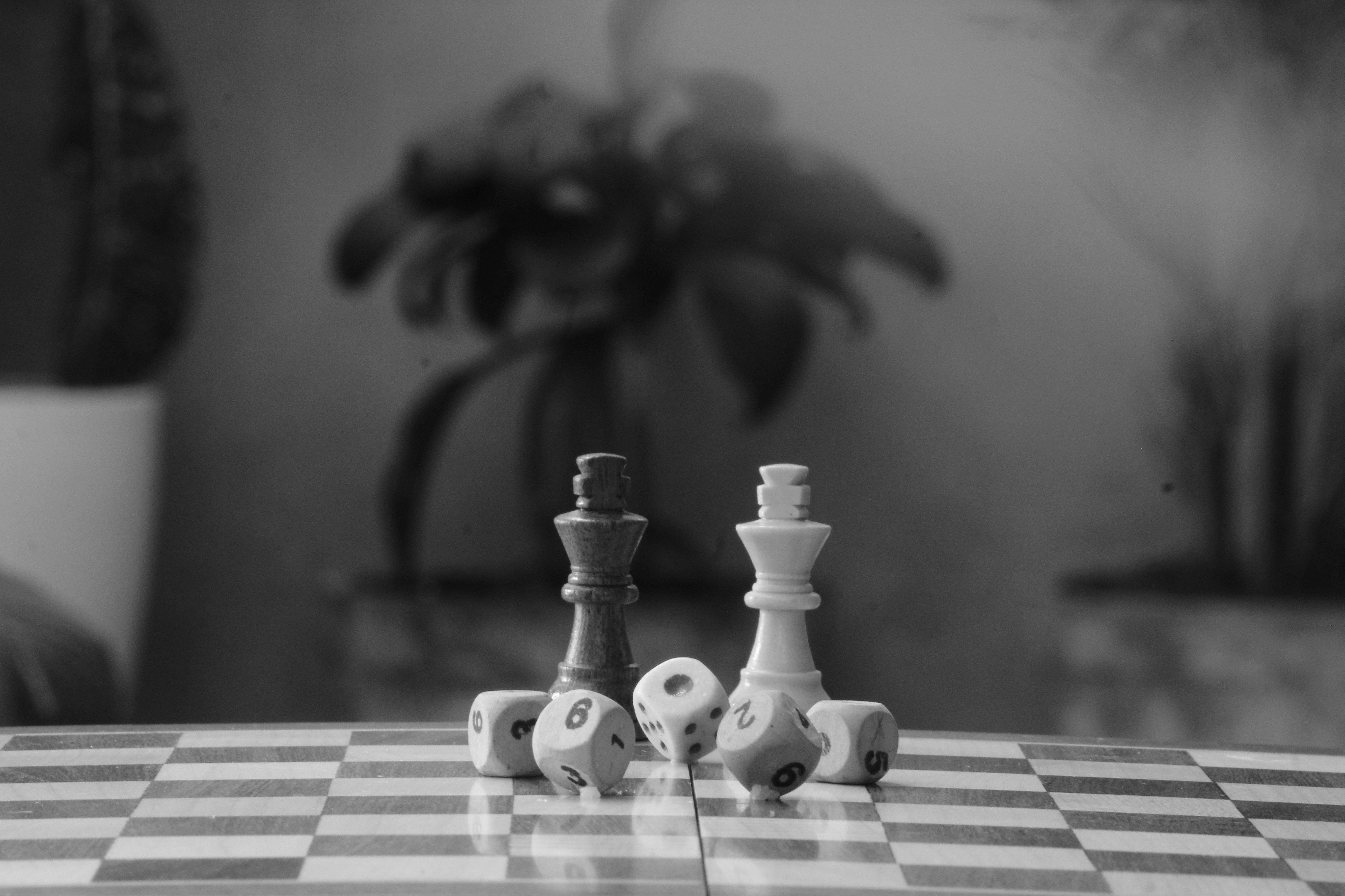 Photo by srini2srinivas