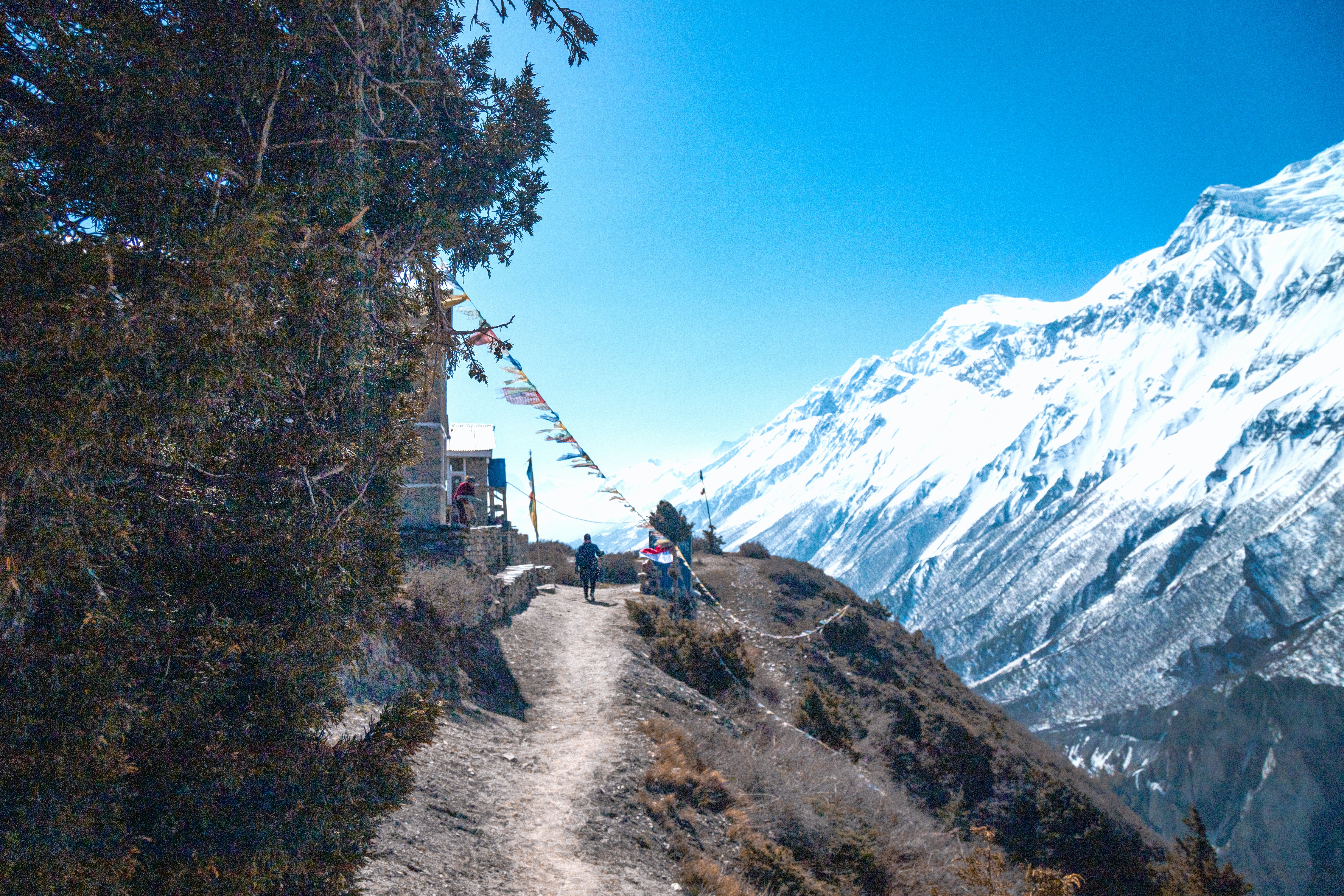Trekker with backpack on Everest trail with snow-covered peaks and clear sky