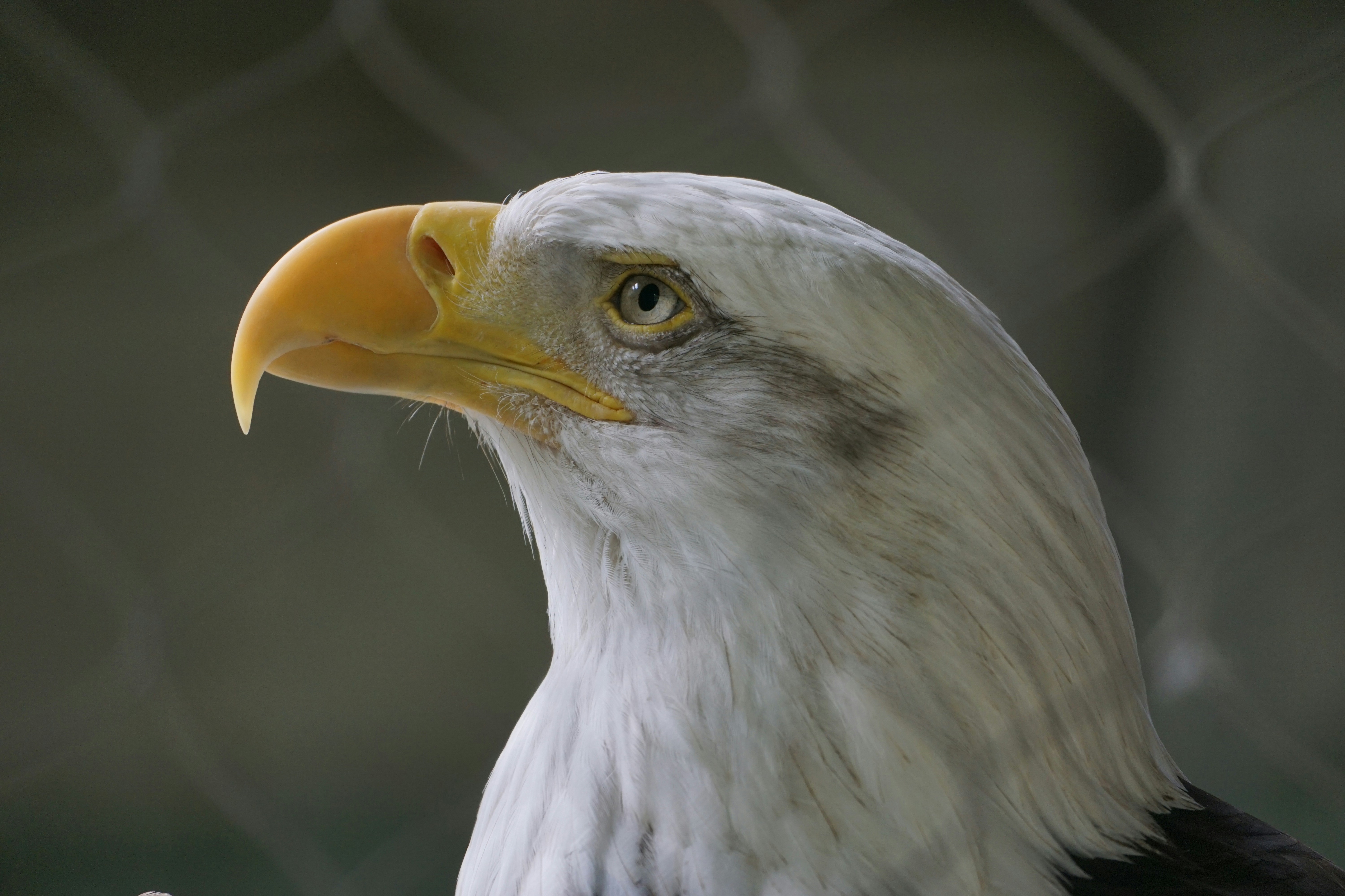 Photo by aryatulsyan