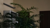 A close-up of air purification equipment placed in a cozy home environment.