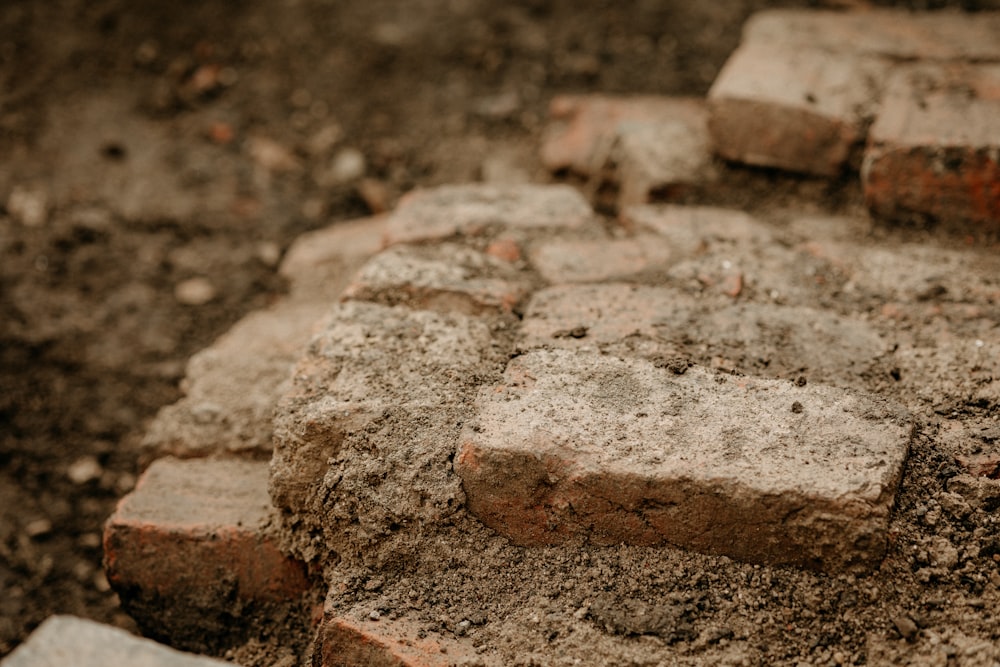 a close up of a brick laying on the ground