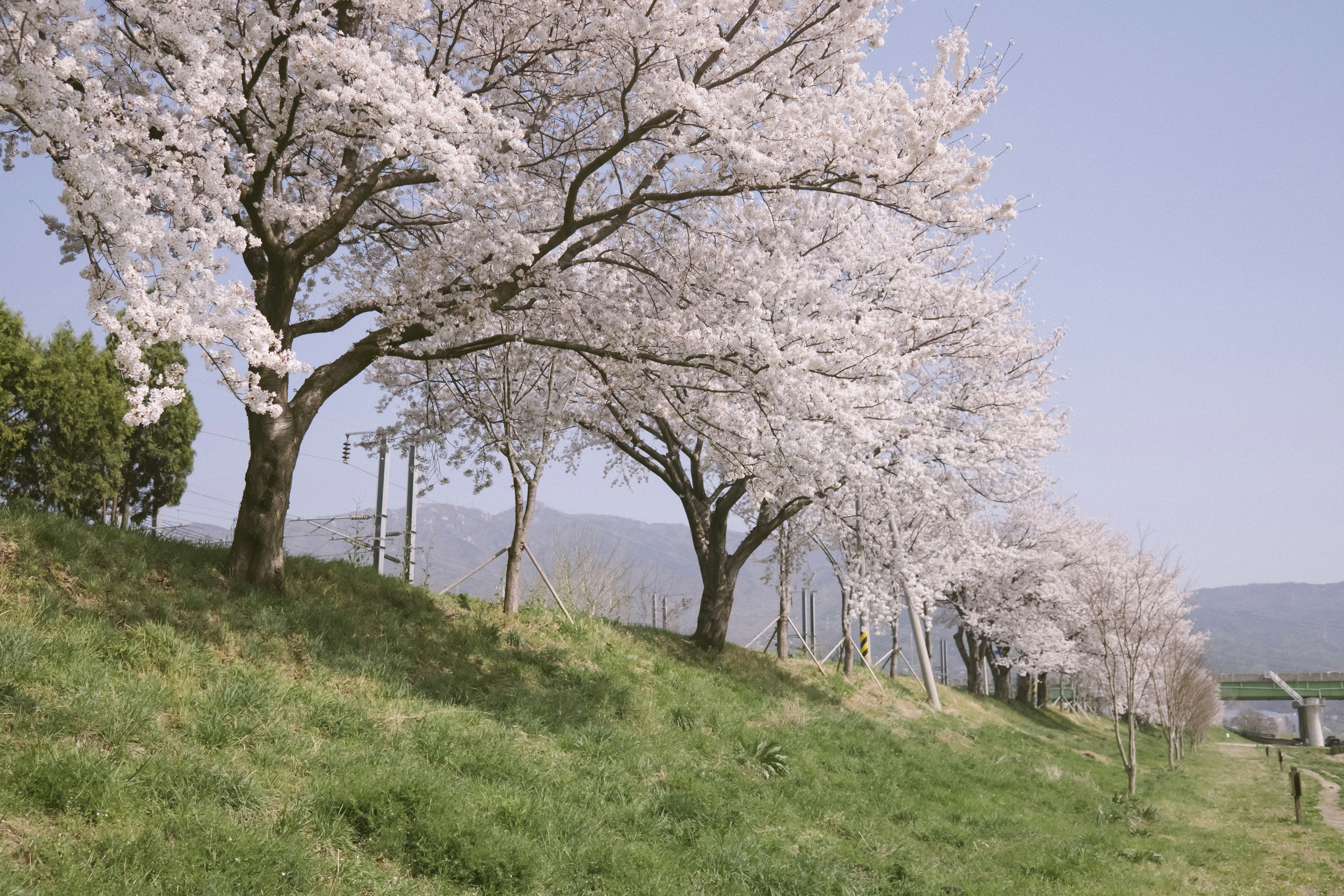 Photo by hanbum