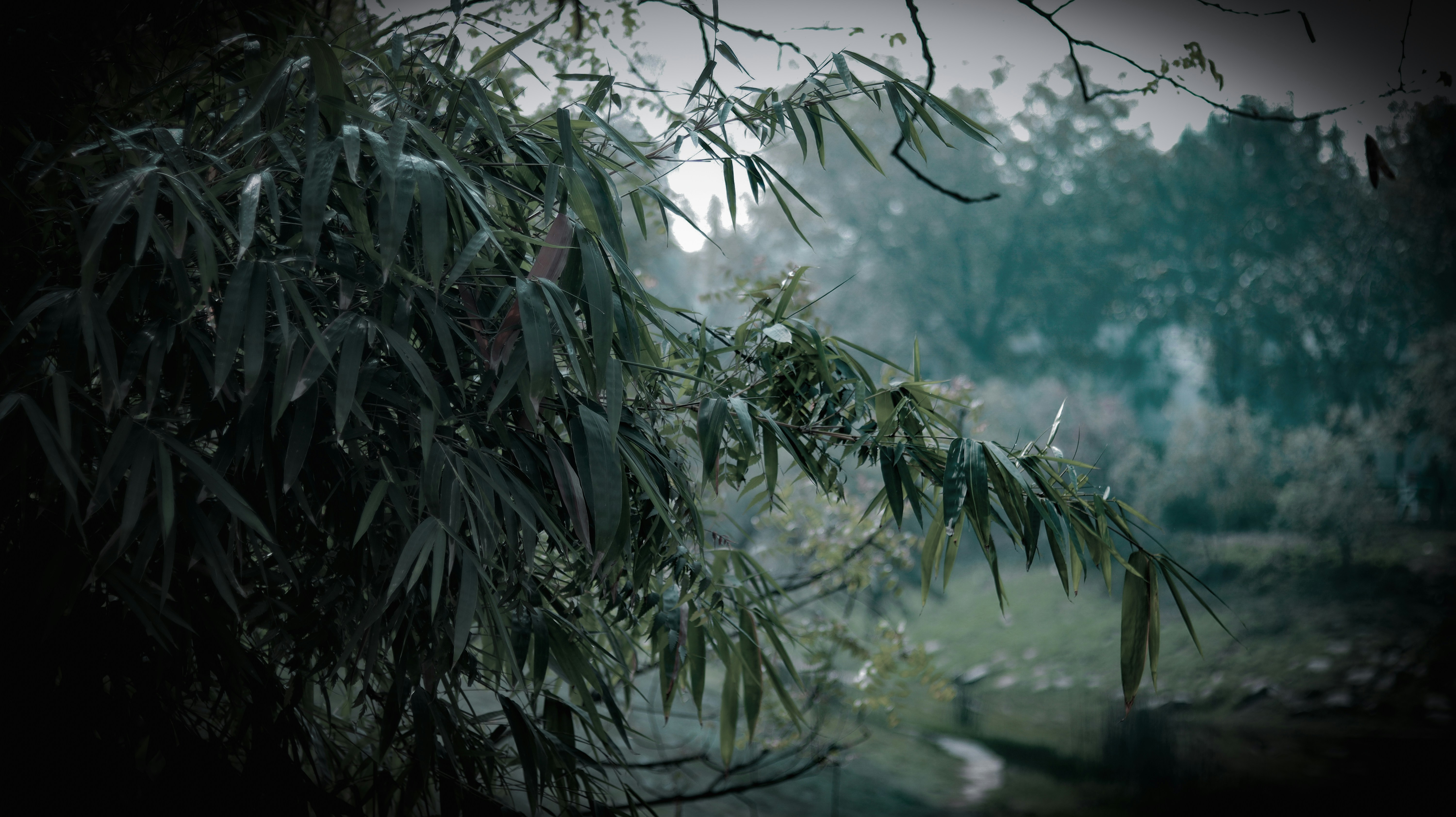 Photo by kayozzphotography