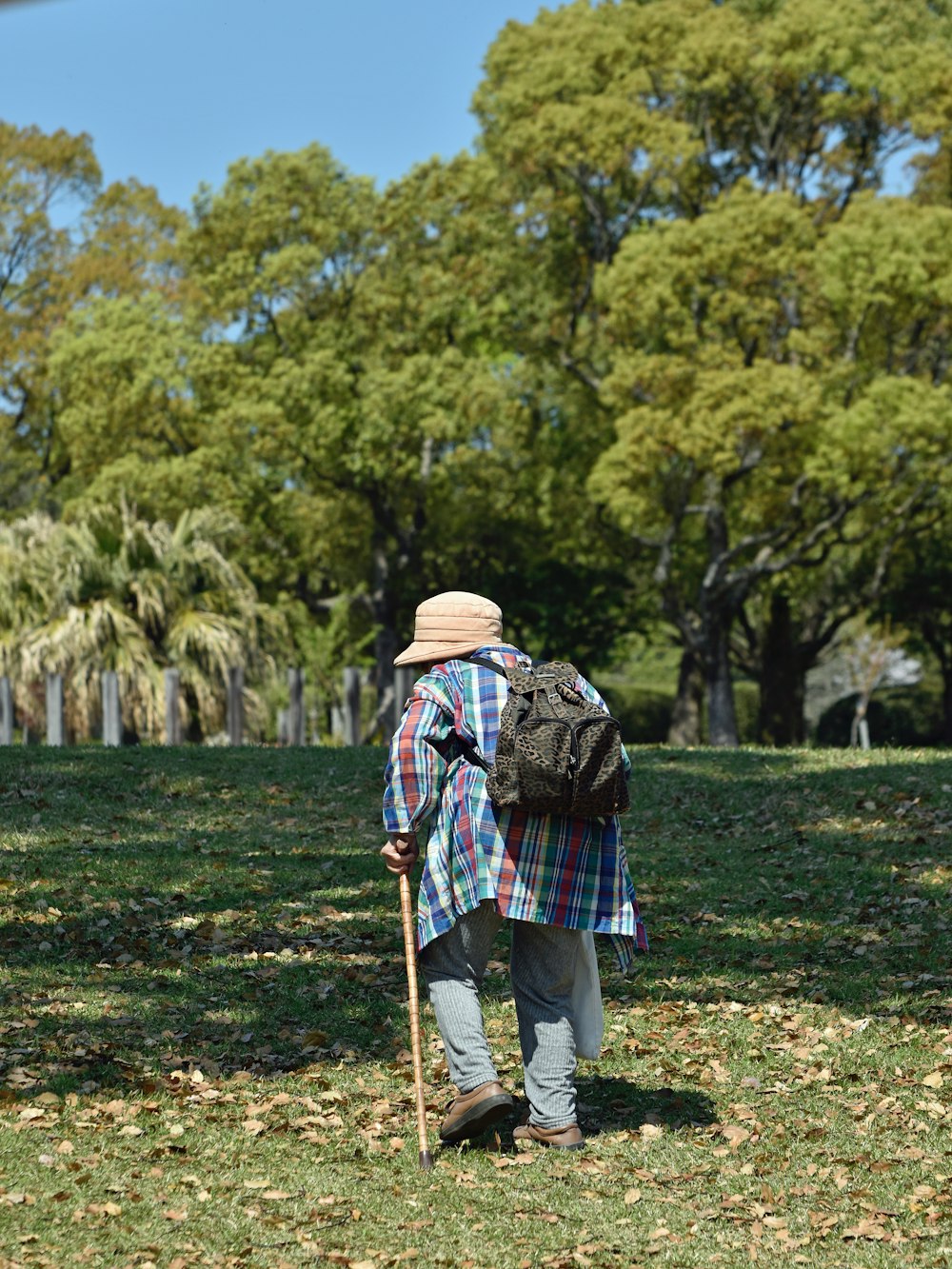 a man with a backpack and walking stick in a park