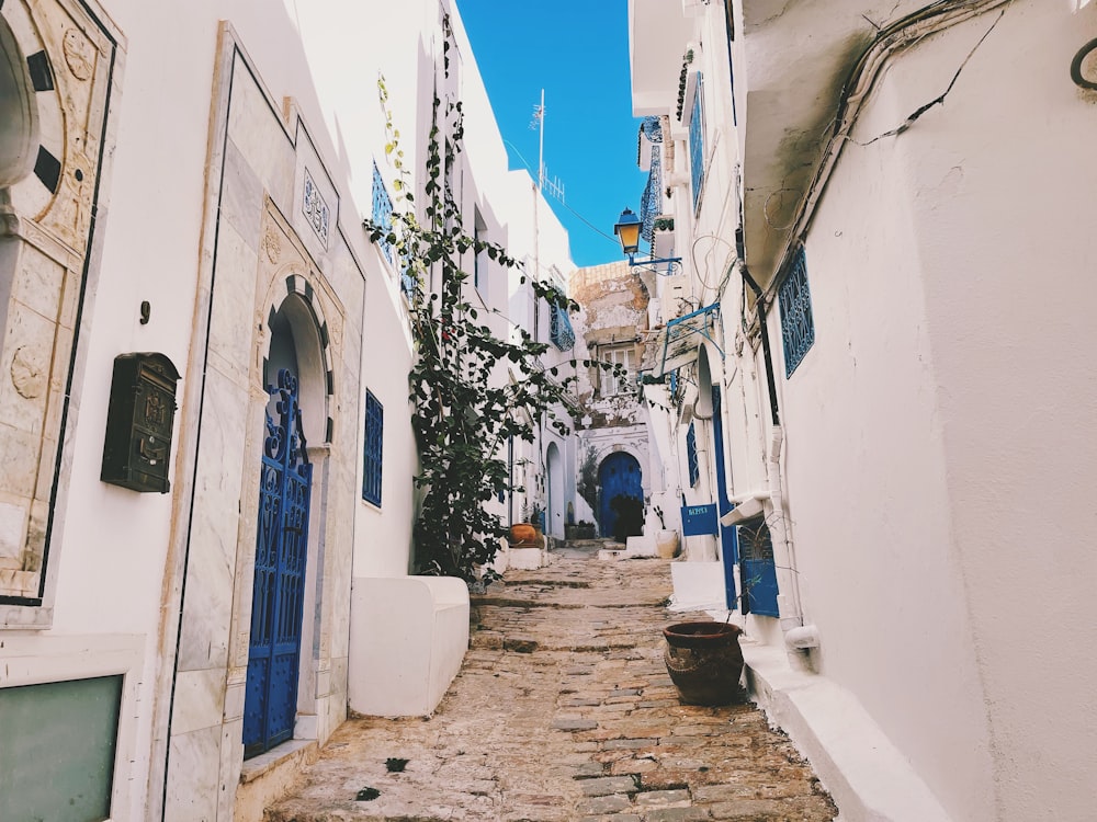 a narrow cobblestone street lined with white buildings