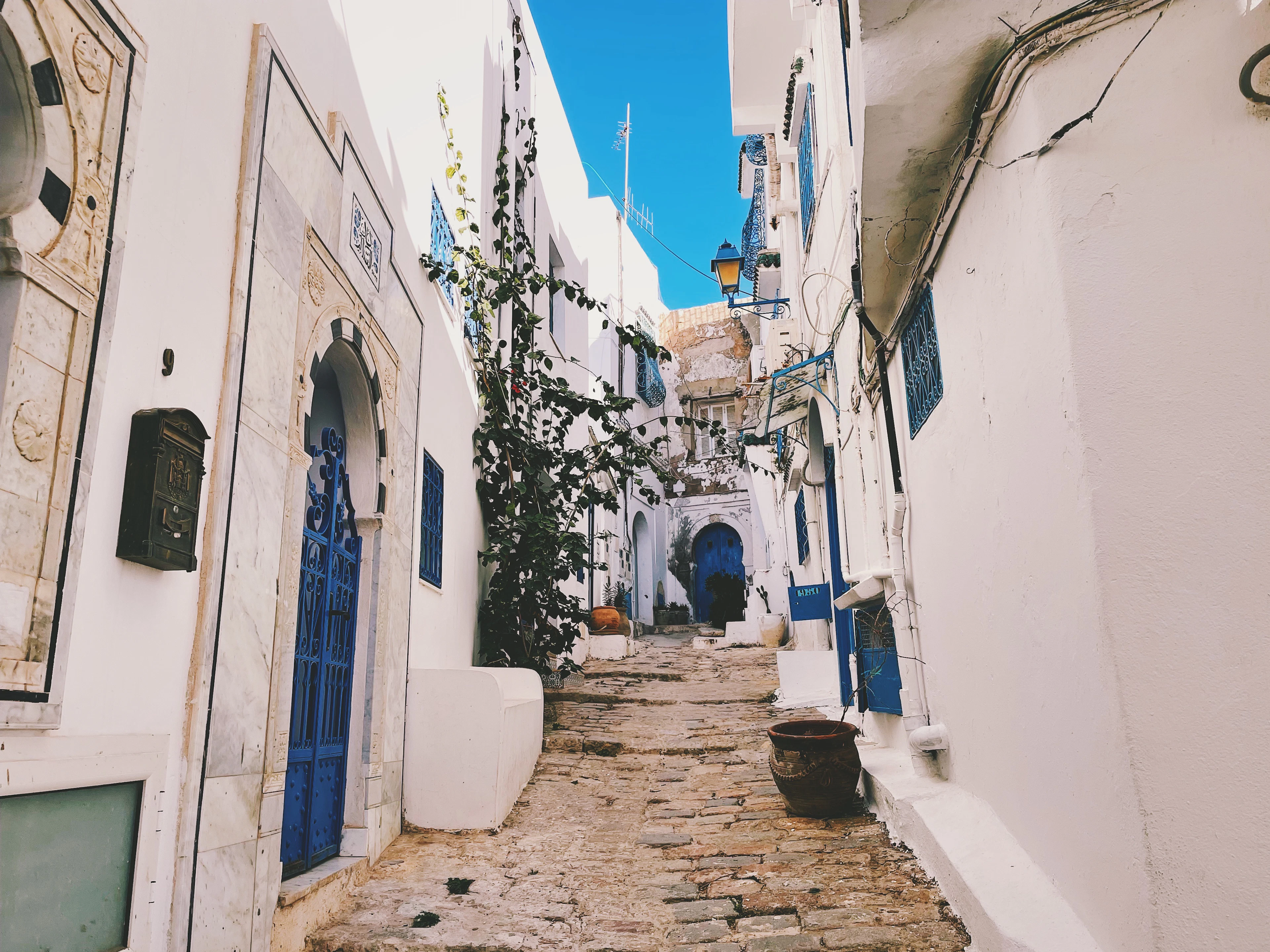 Tunis