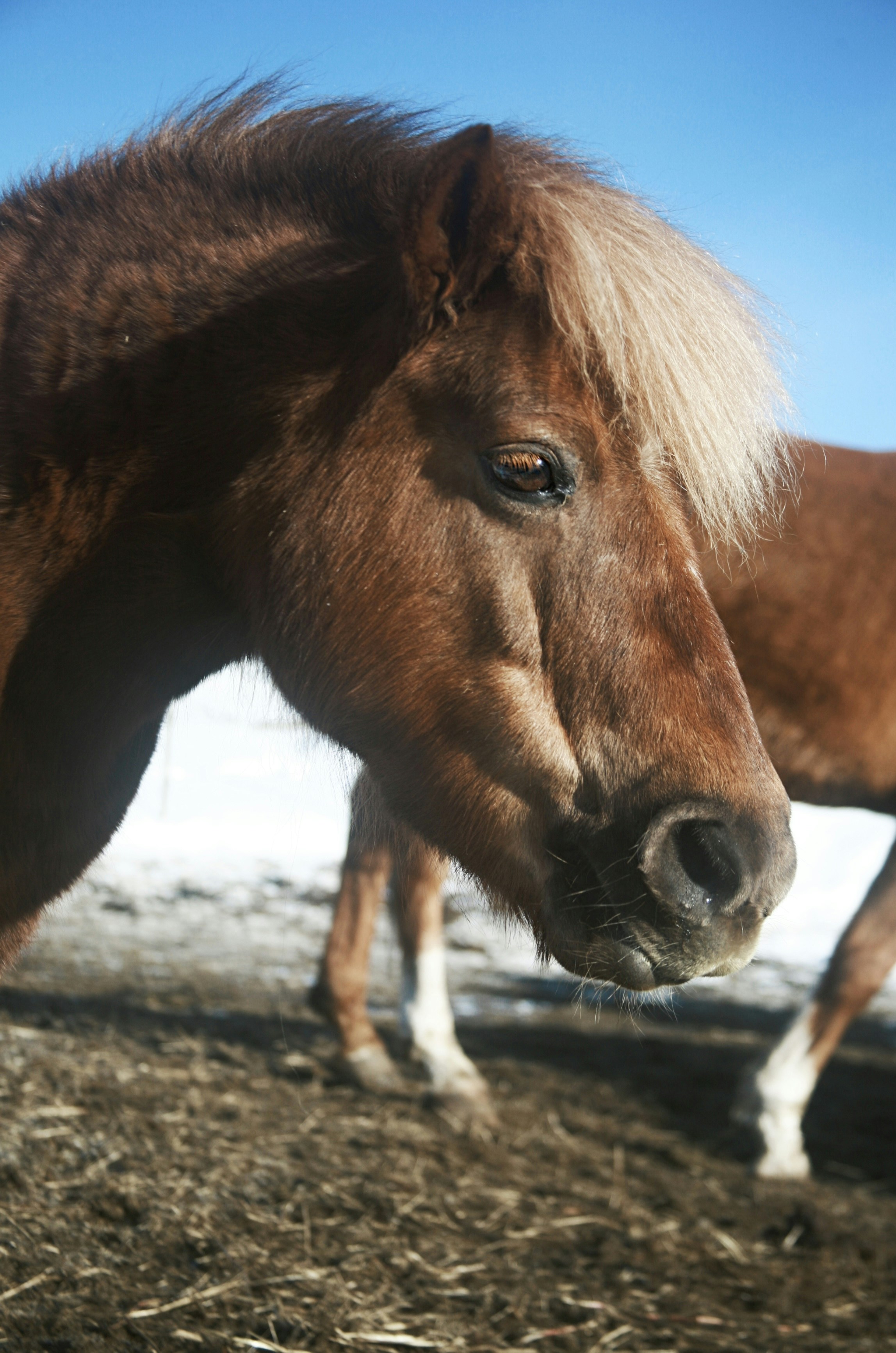 Photo by kristinokarlsen