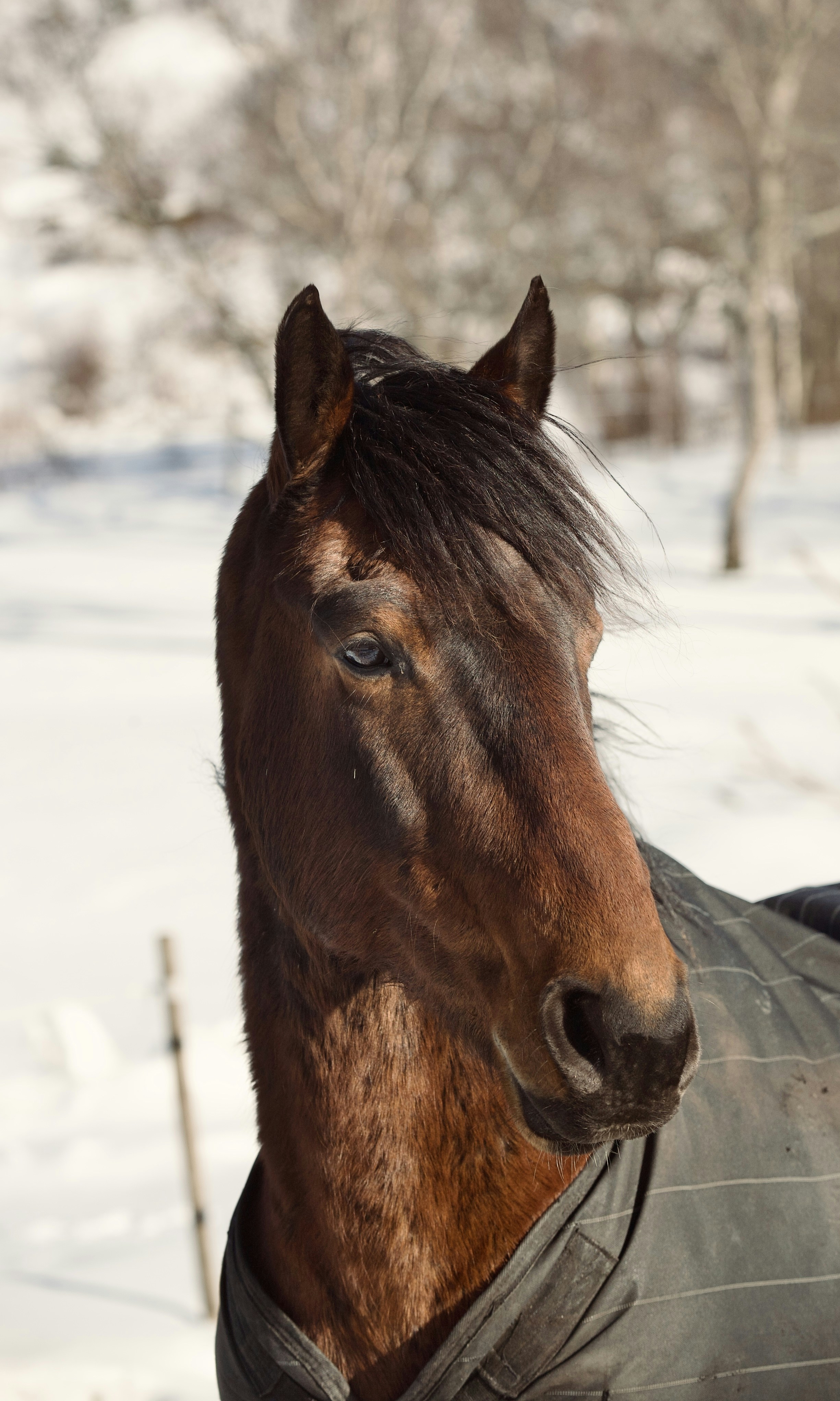 Photo by kristinokarlsen