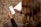 A person with light-colored hair is seated, holding a smartphone in both hands. The phone's screen displays a form or application interface with text and various icons. The person is wearing a dark sweater, and a white surface, possibly a table, is partially visible.