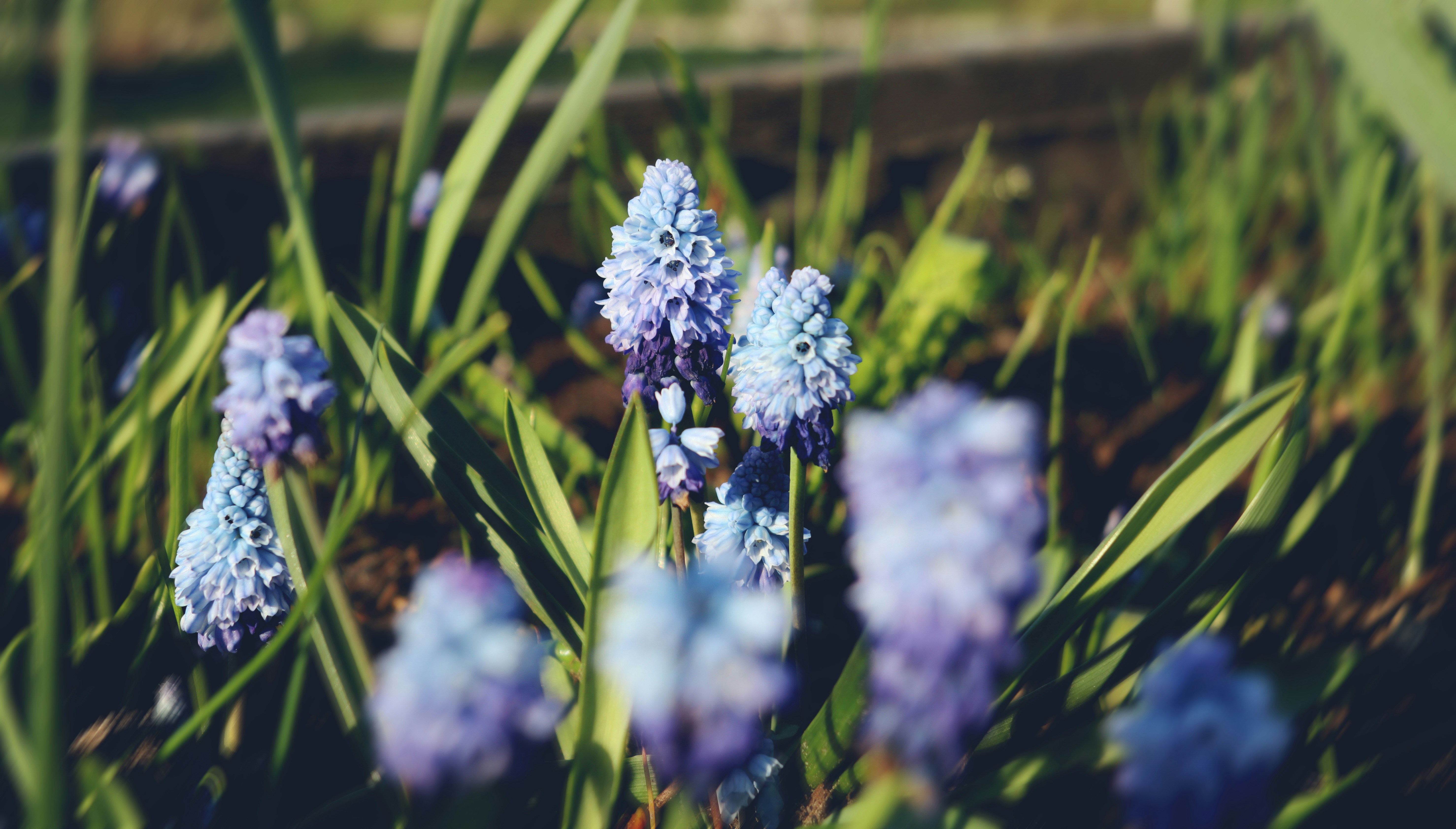 Photo by tolikrurac82